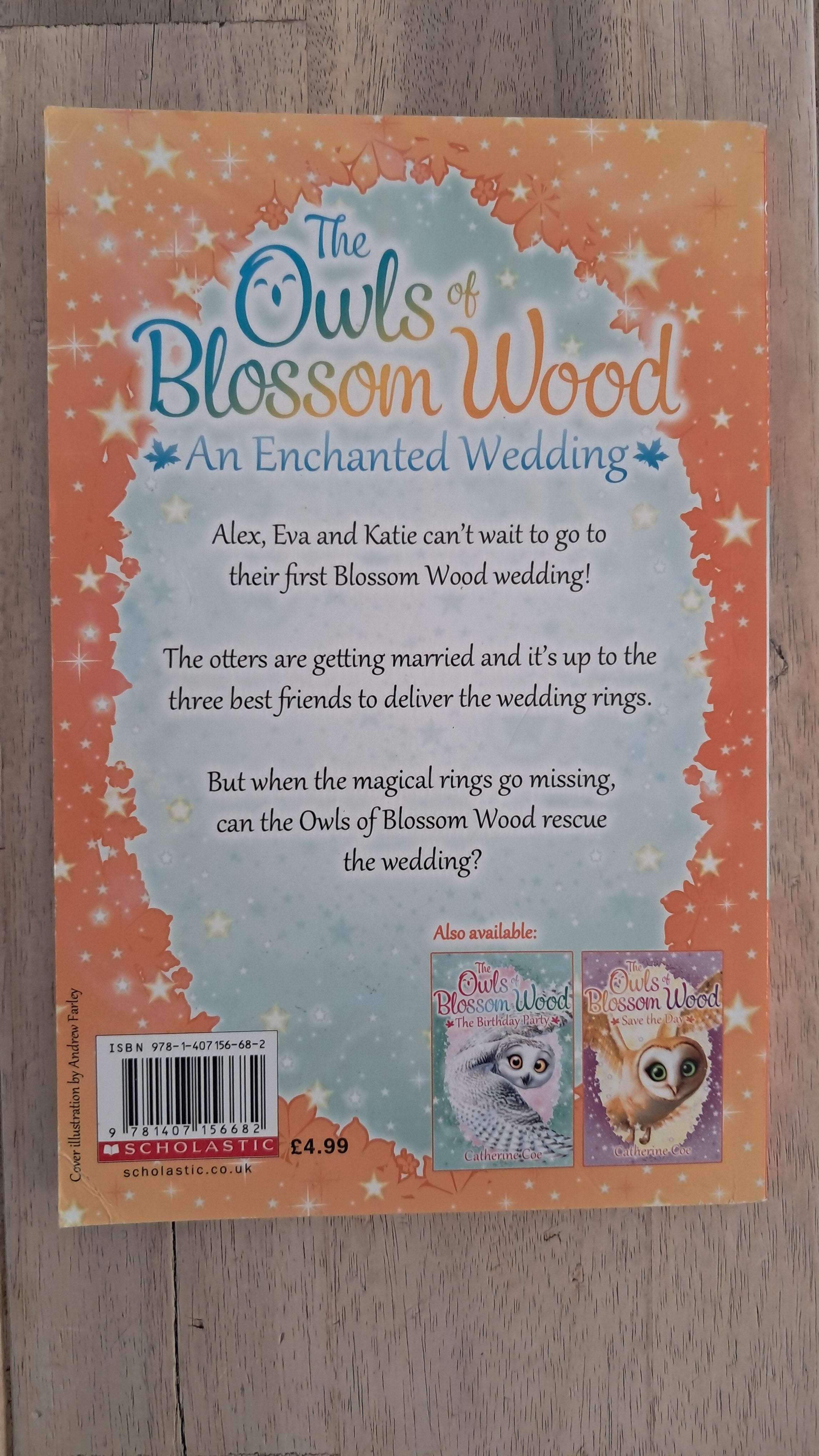 The Owls Of Blossom Wood: An Enchanted Wedding – Catherine Coe