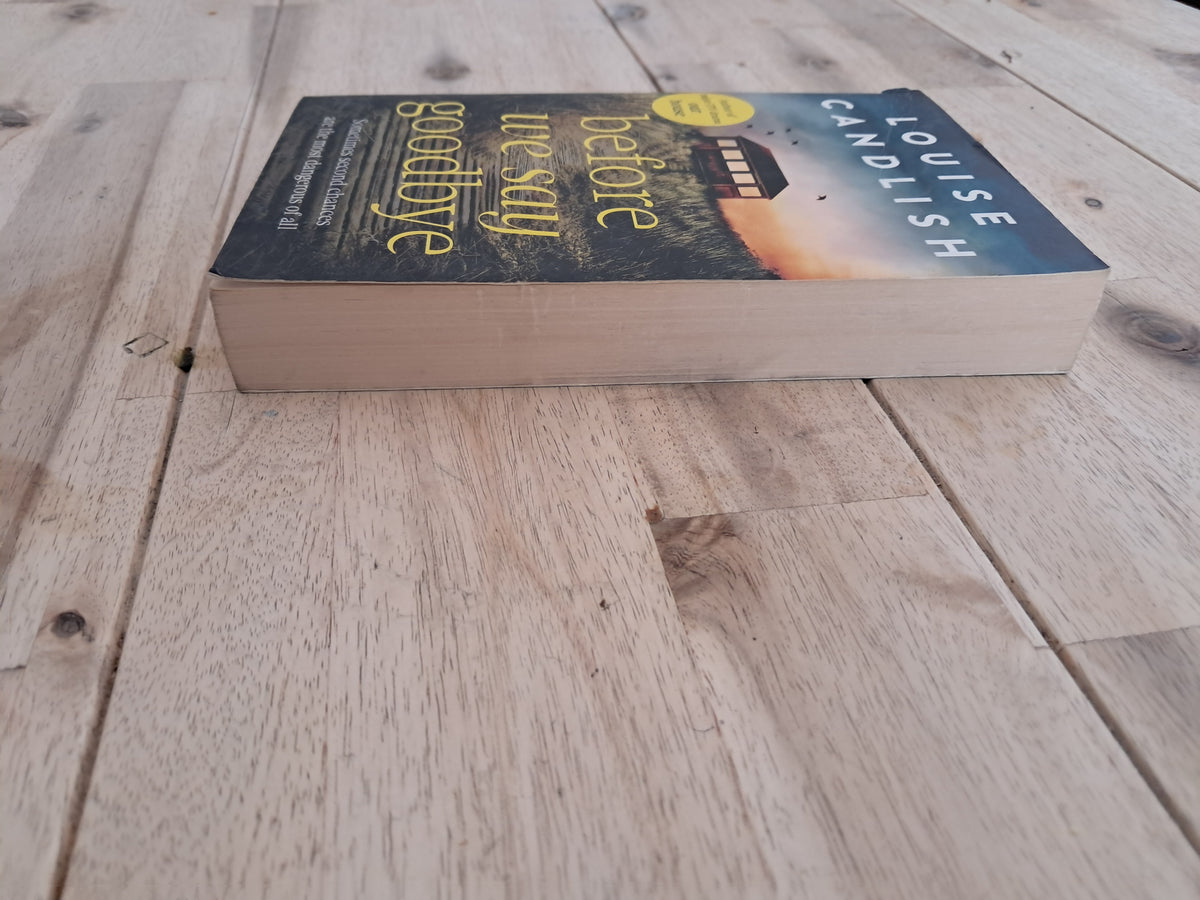 Before We Say Goodbye – Louise Candlish