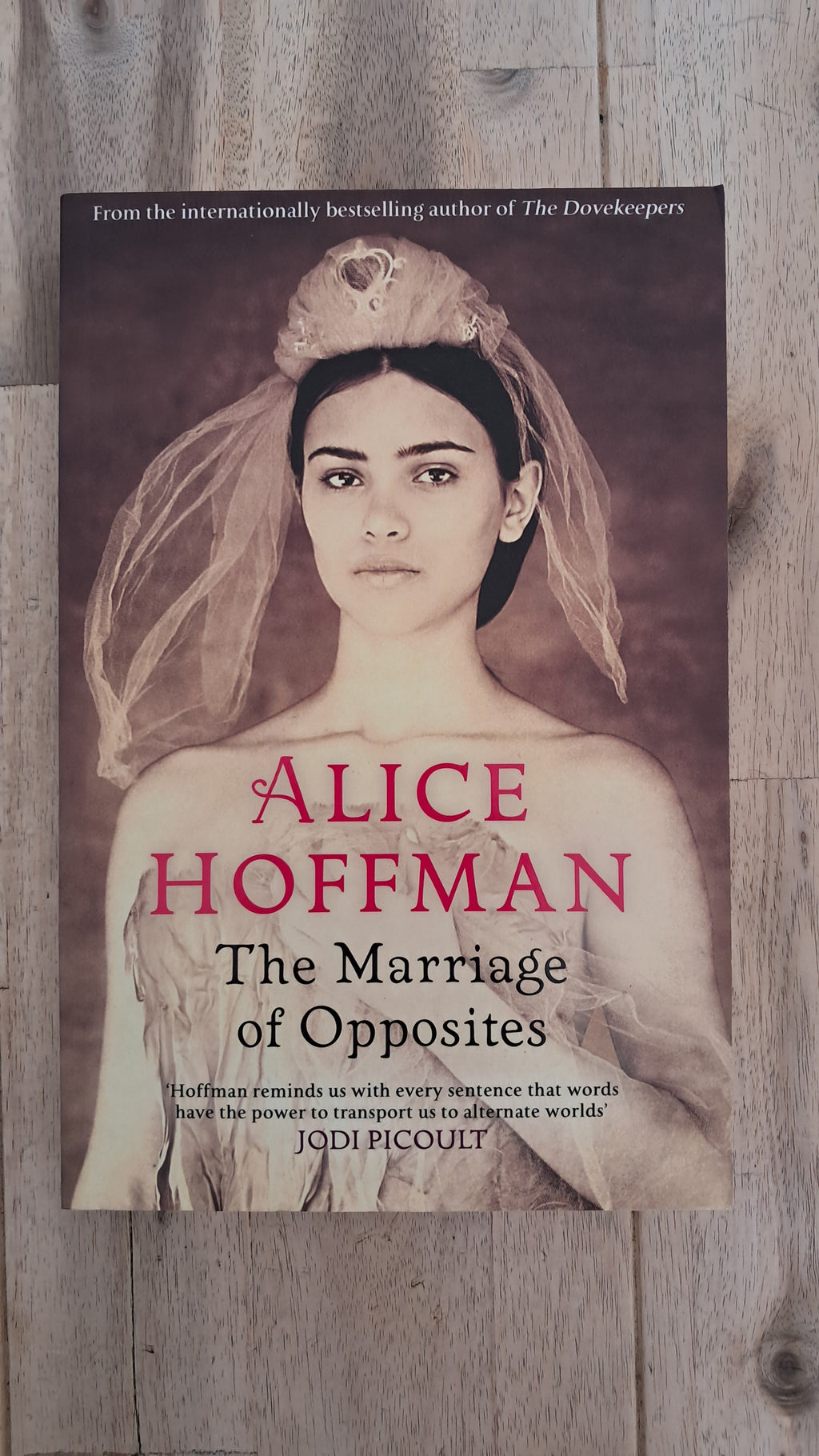 The Marriage of Opposites – Alice Hoffman