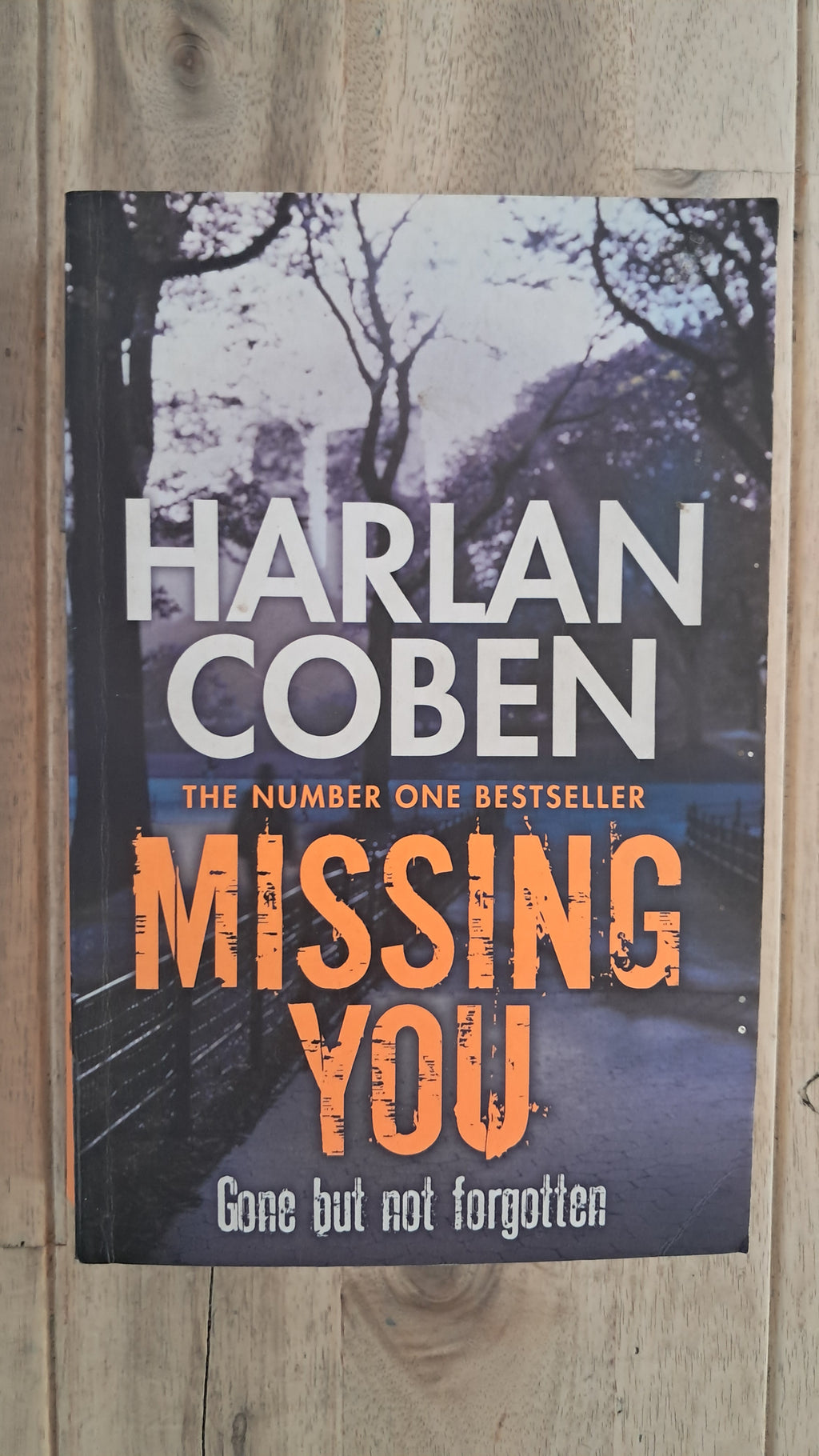 Missing You – Harlan Coben