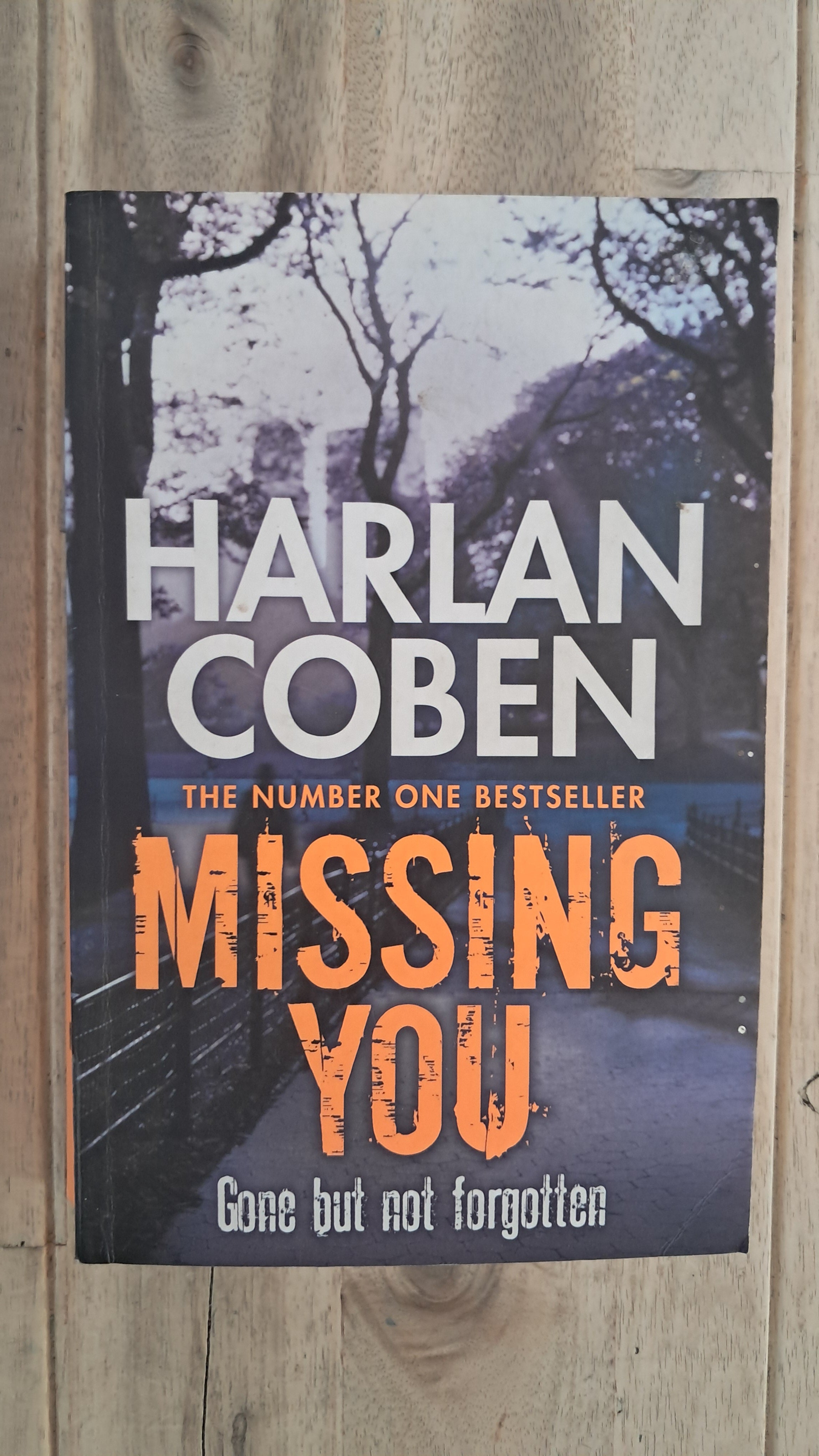 Missing You – Harlan Coben