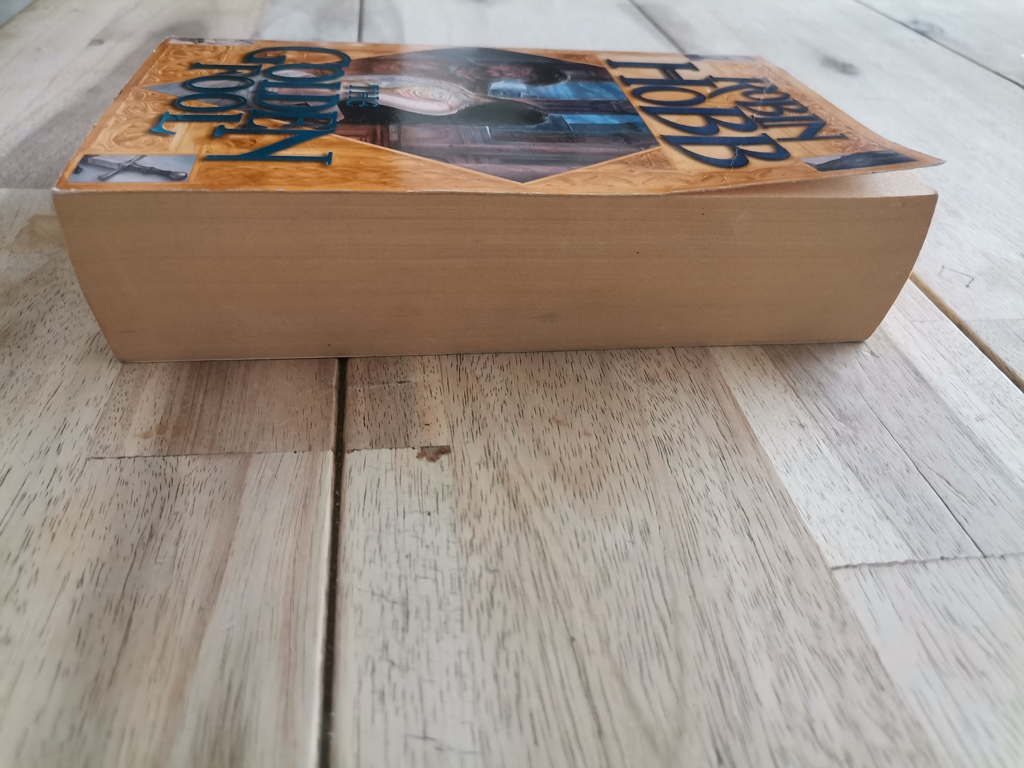 The Golden Fool by Robin Hobb