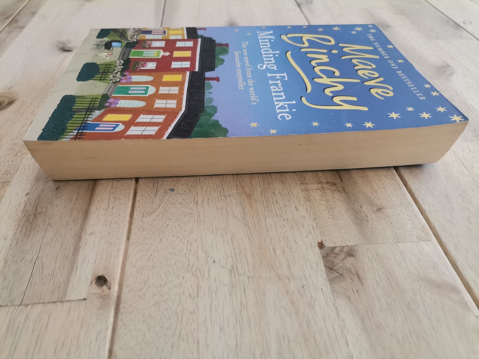 Minding Frankie – Maeve Binchy