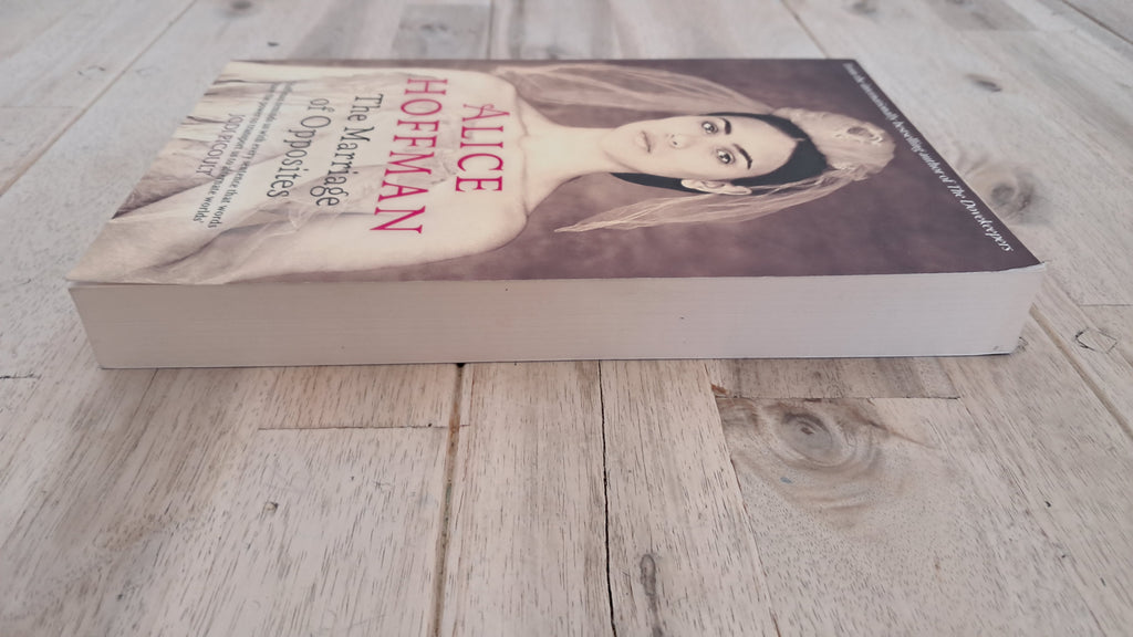 The Marriage of Opposites – Alice Hoffman