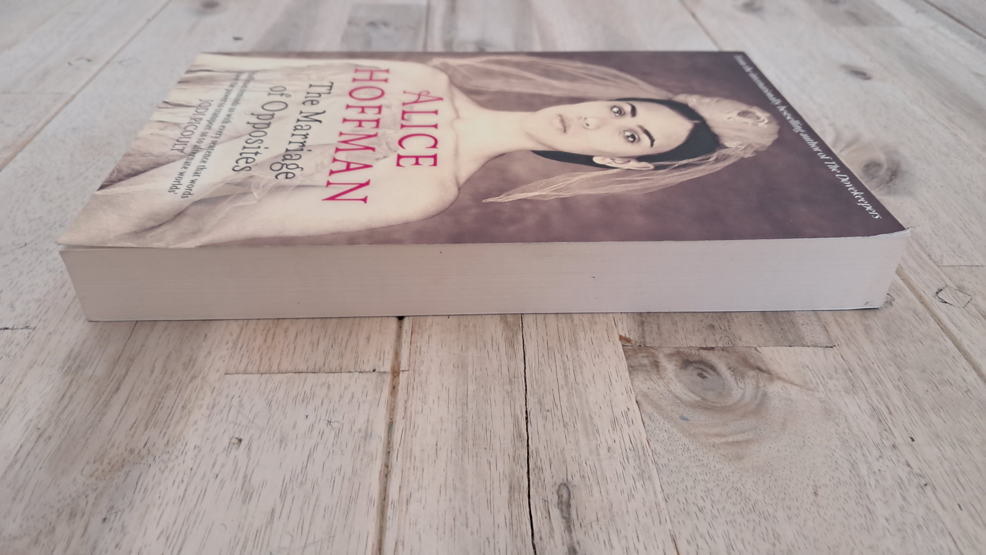 The Marriage of Opposites – Alice Hoffman