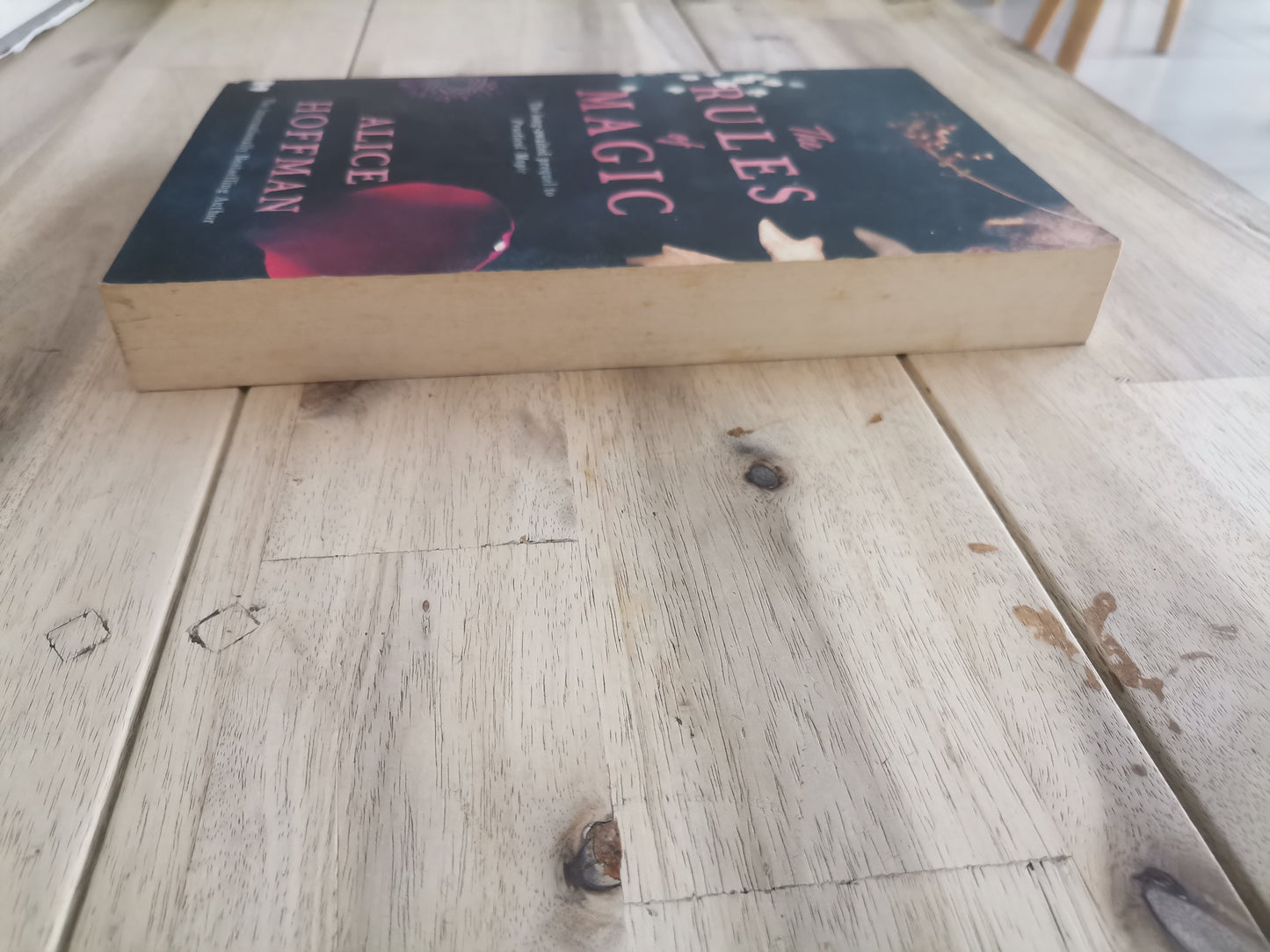 The Rules of Magic (Practical Magic Prequel) by Alice Hoffman