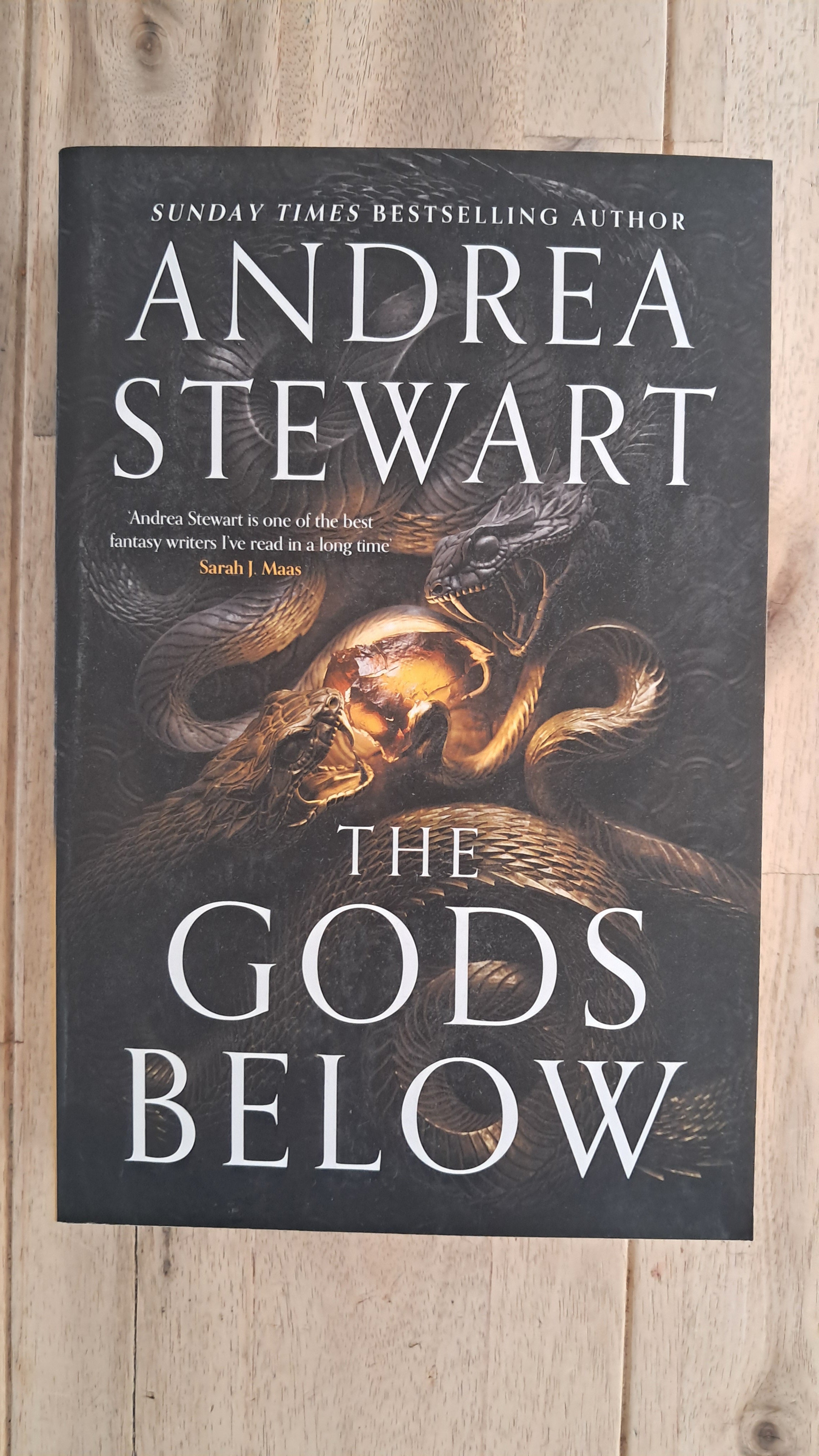 The Gods Below – Andrea Stewart