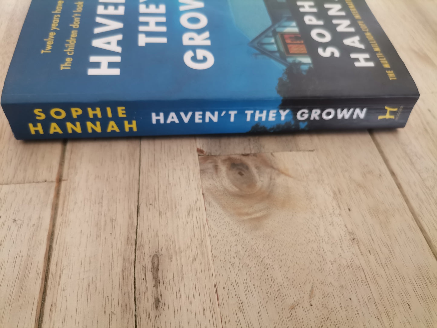 Haven't They Grown Yet by Sophie Hannah