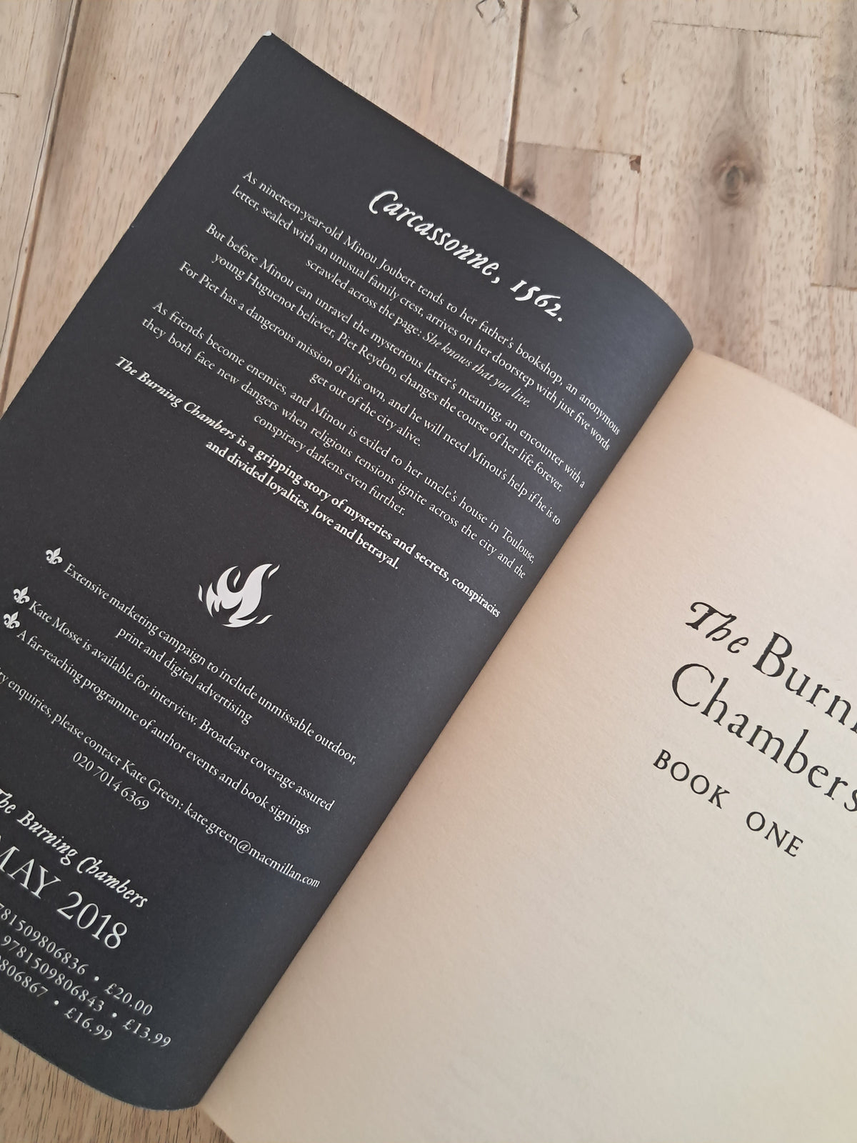 The Burning Chambers (The Joubert Family Chronicles #1) – Kate Mosse