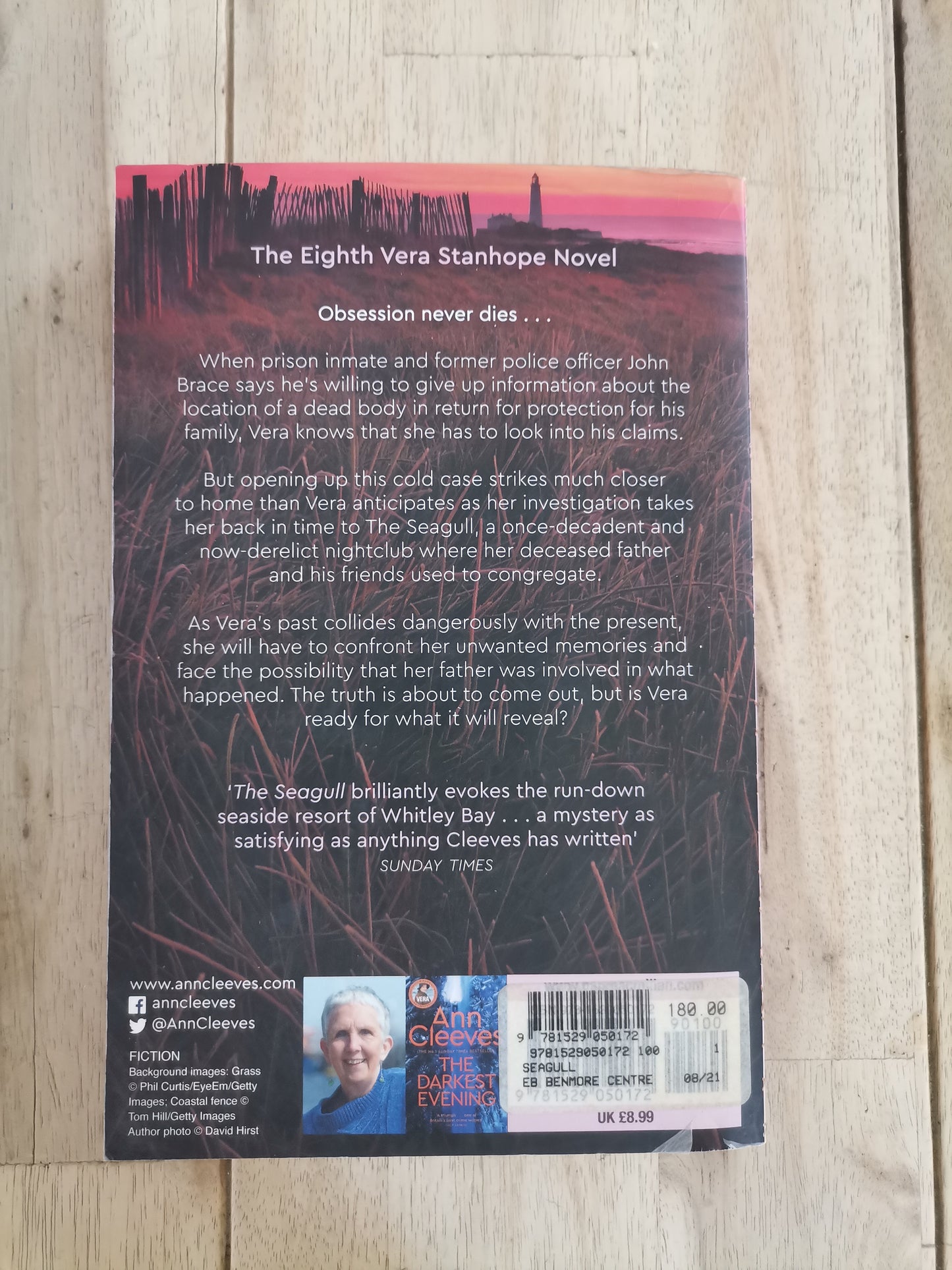 The Seagull – Ann Cleeves