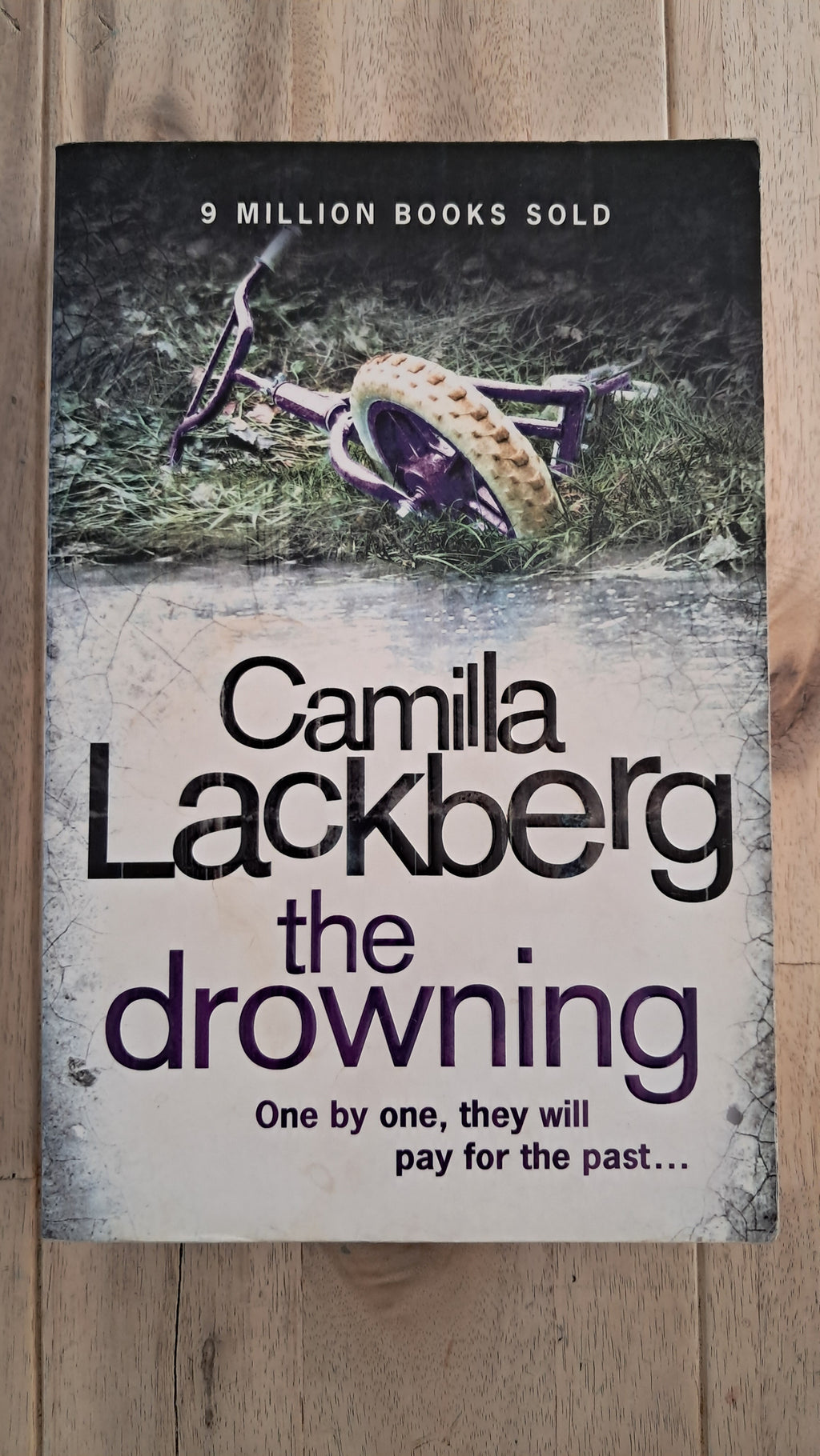 The Drowning – Camilla Läckberg