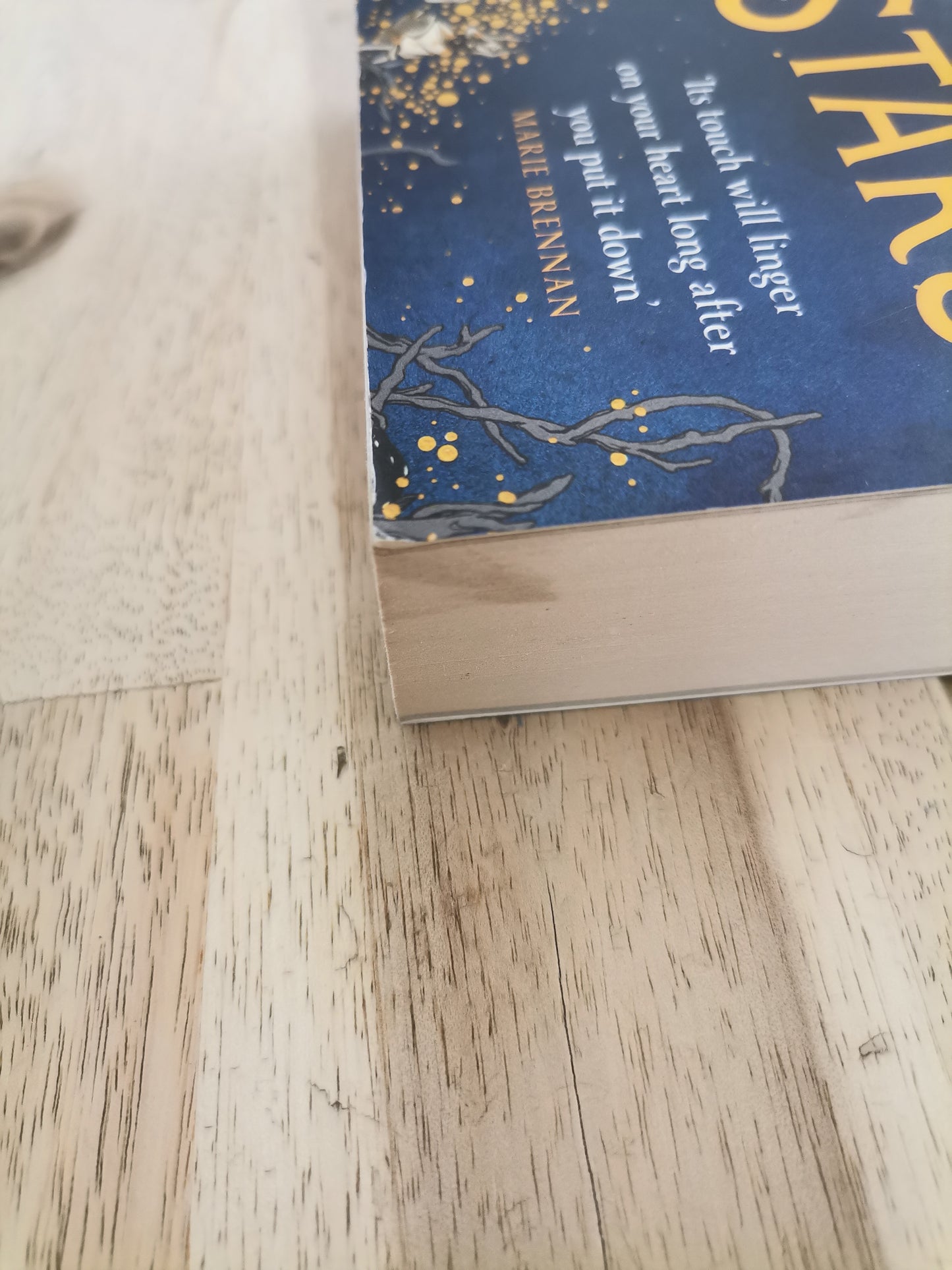 The Light of the Midnight Stars – Rena Rossner