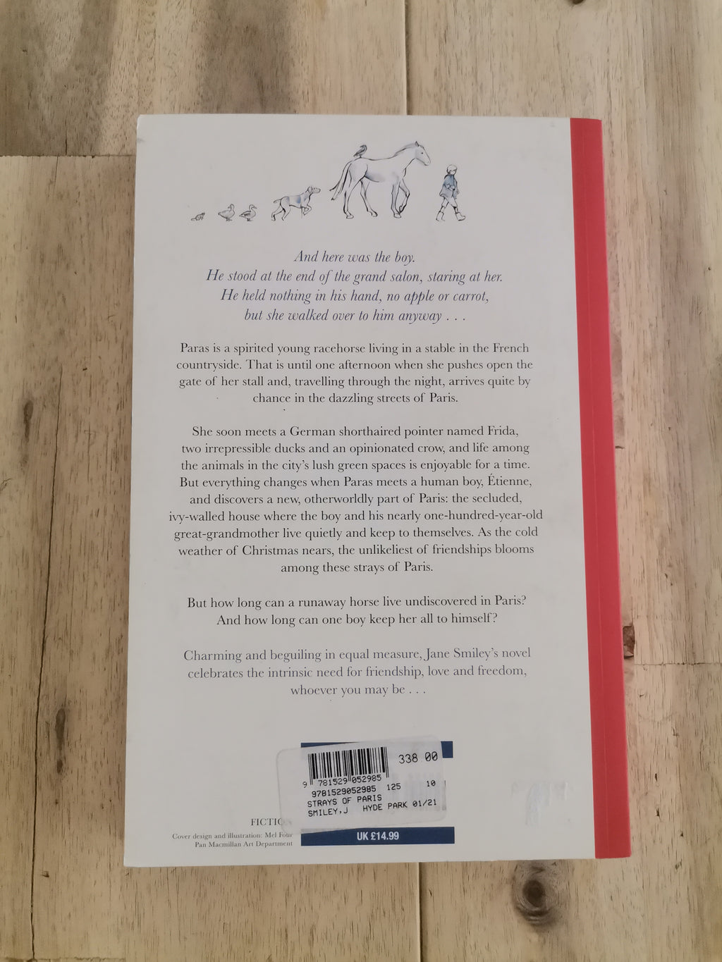 The Strays of Paris by Jane Smiley