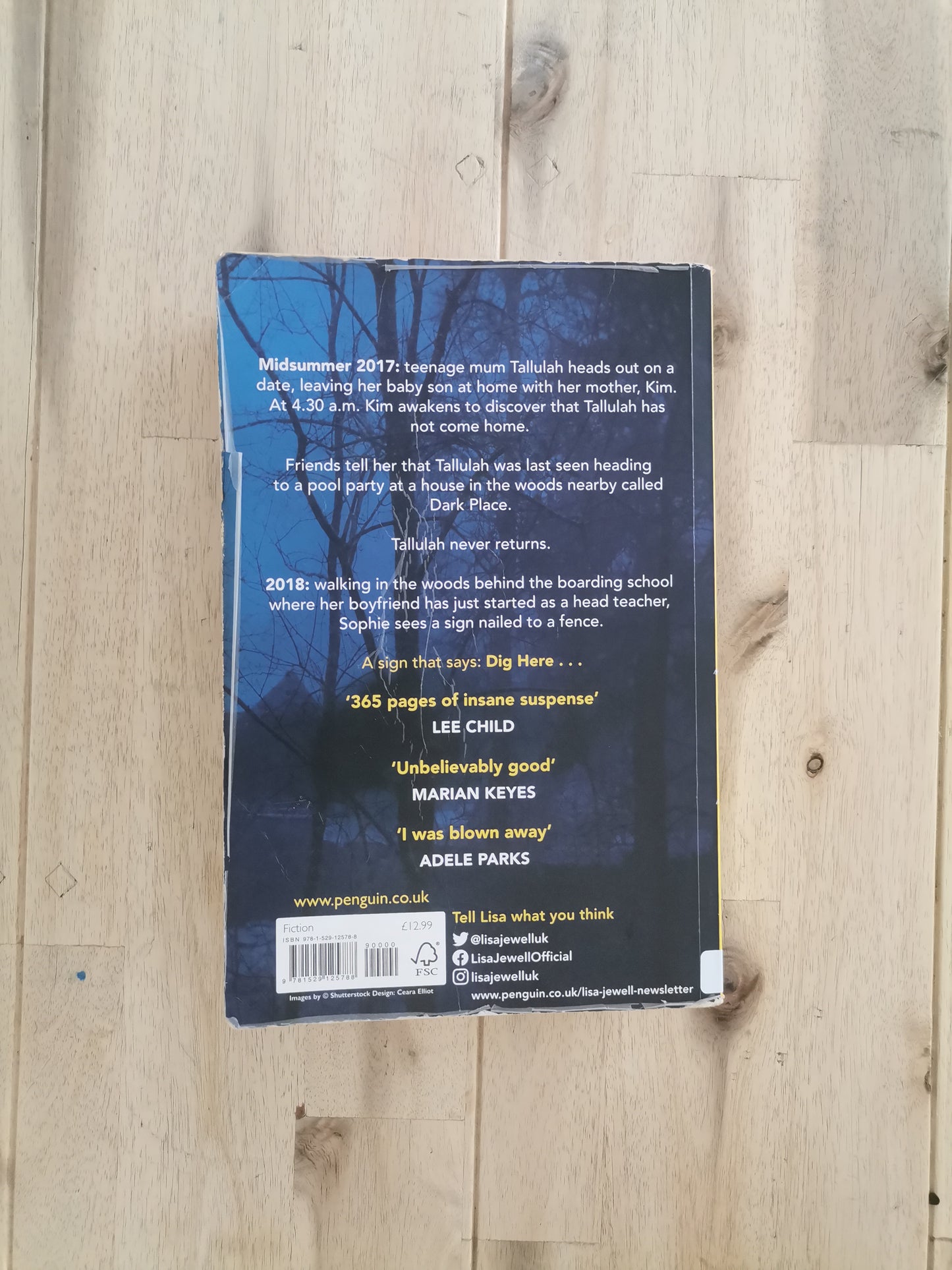 The Night She Disappeared – Lisa Jewell