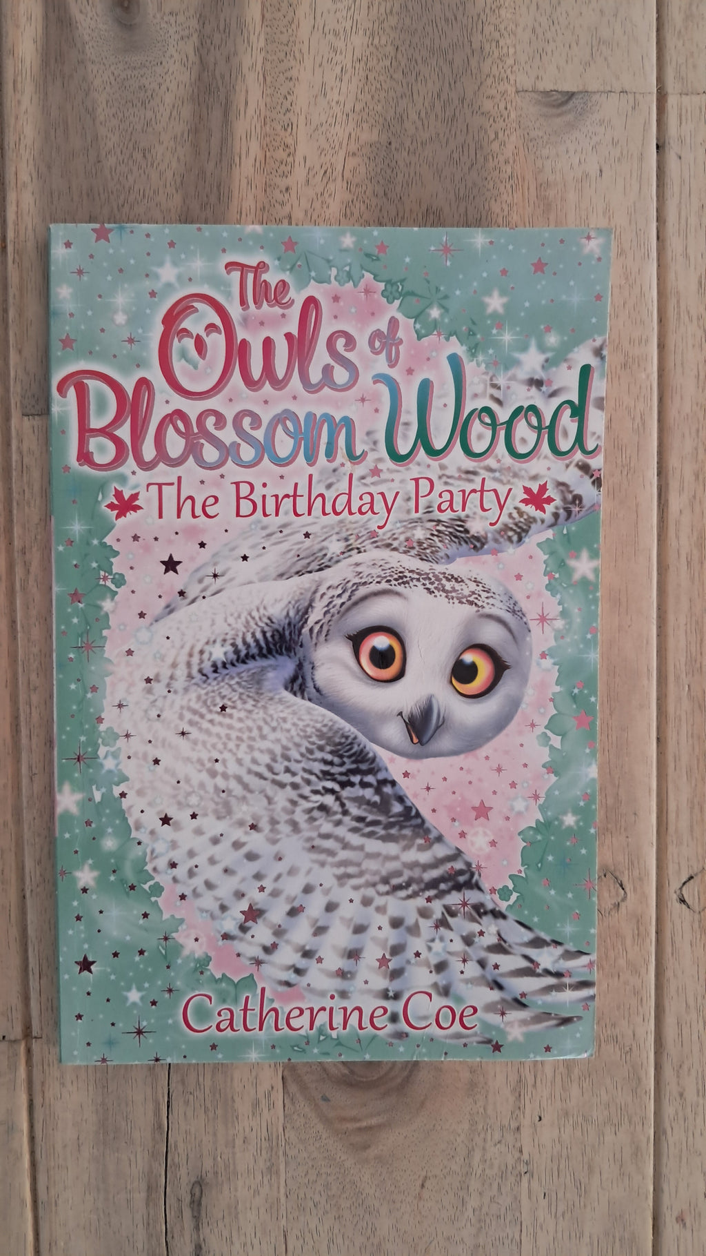 The Owls of Blossom Wood: The Birthday Party – Catherine Coe