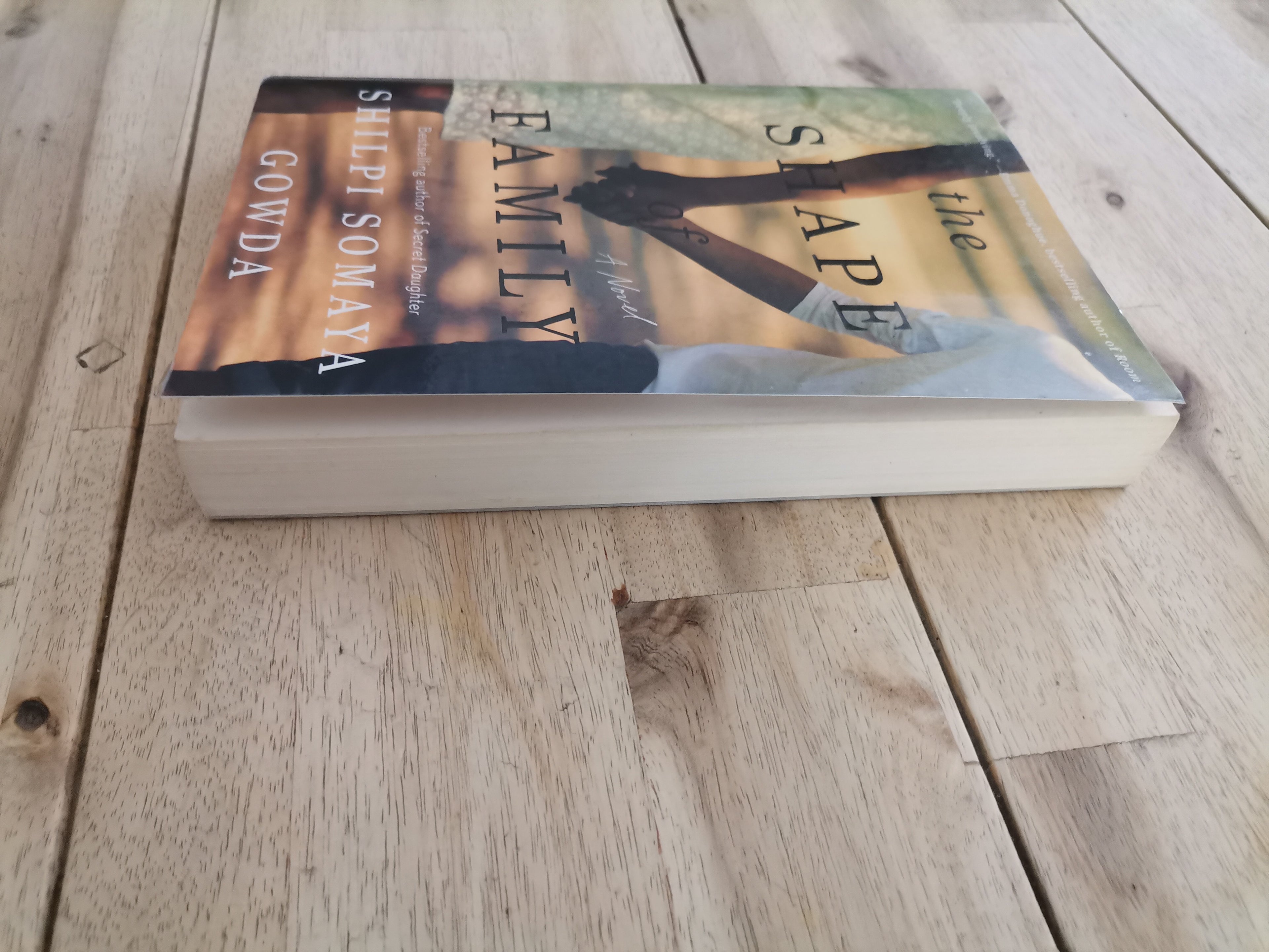 The Shape of Family – Shilpi Somaya Gowda