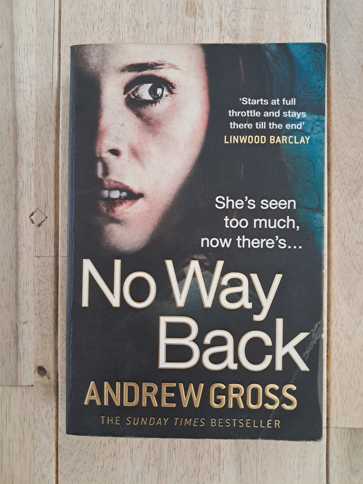 No Way Back – Andrew Gross