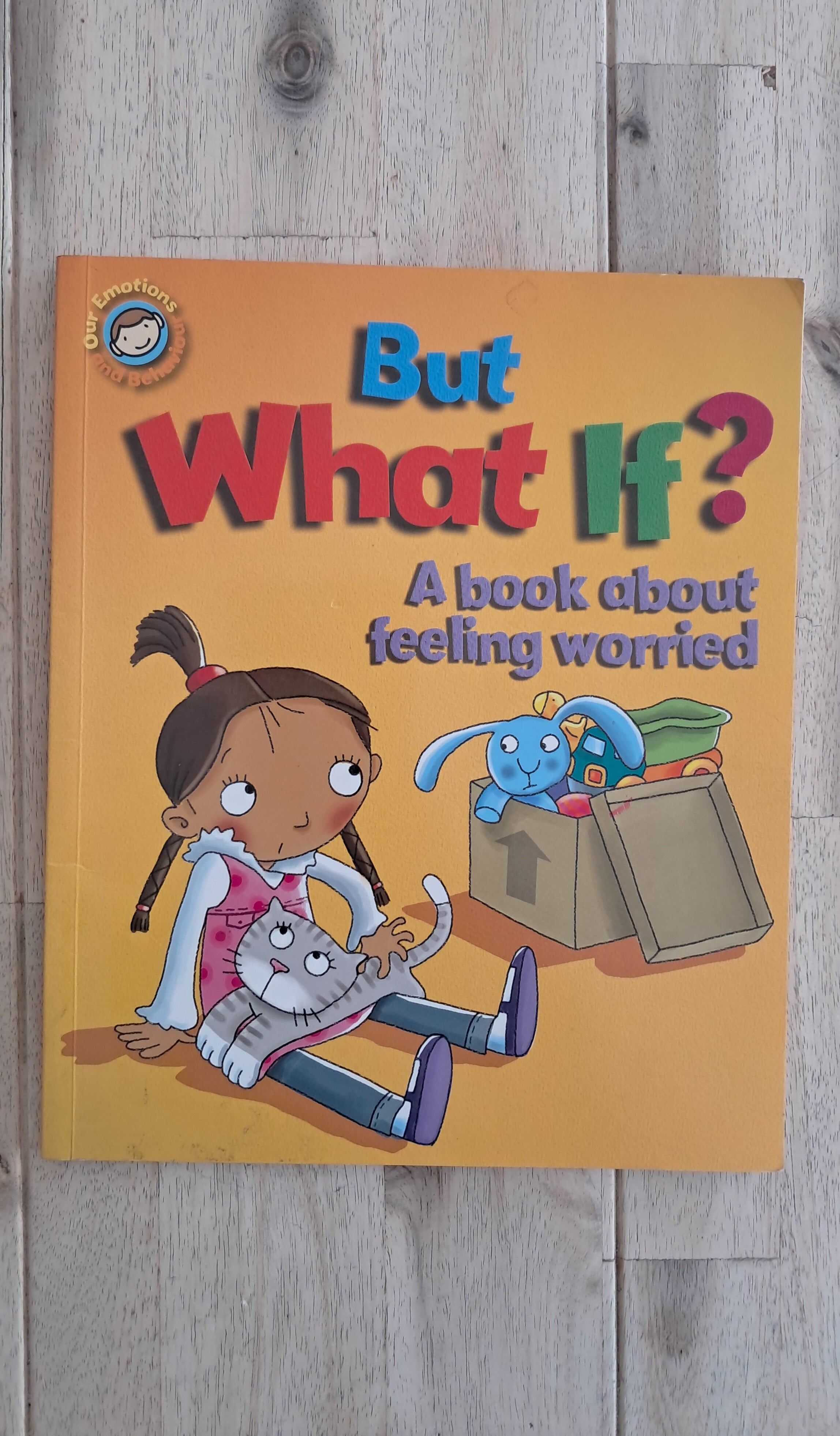 But What If? A Book About Feeling Worried – Sue Graves