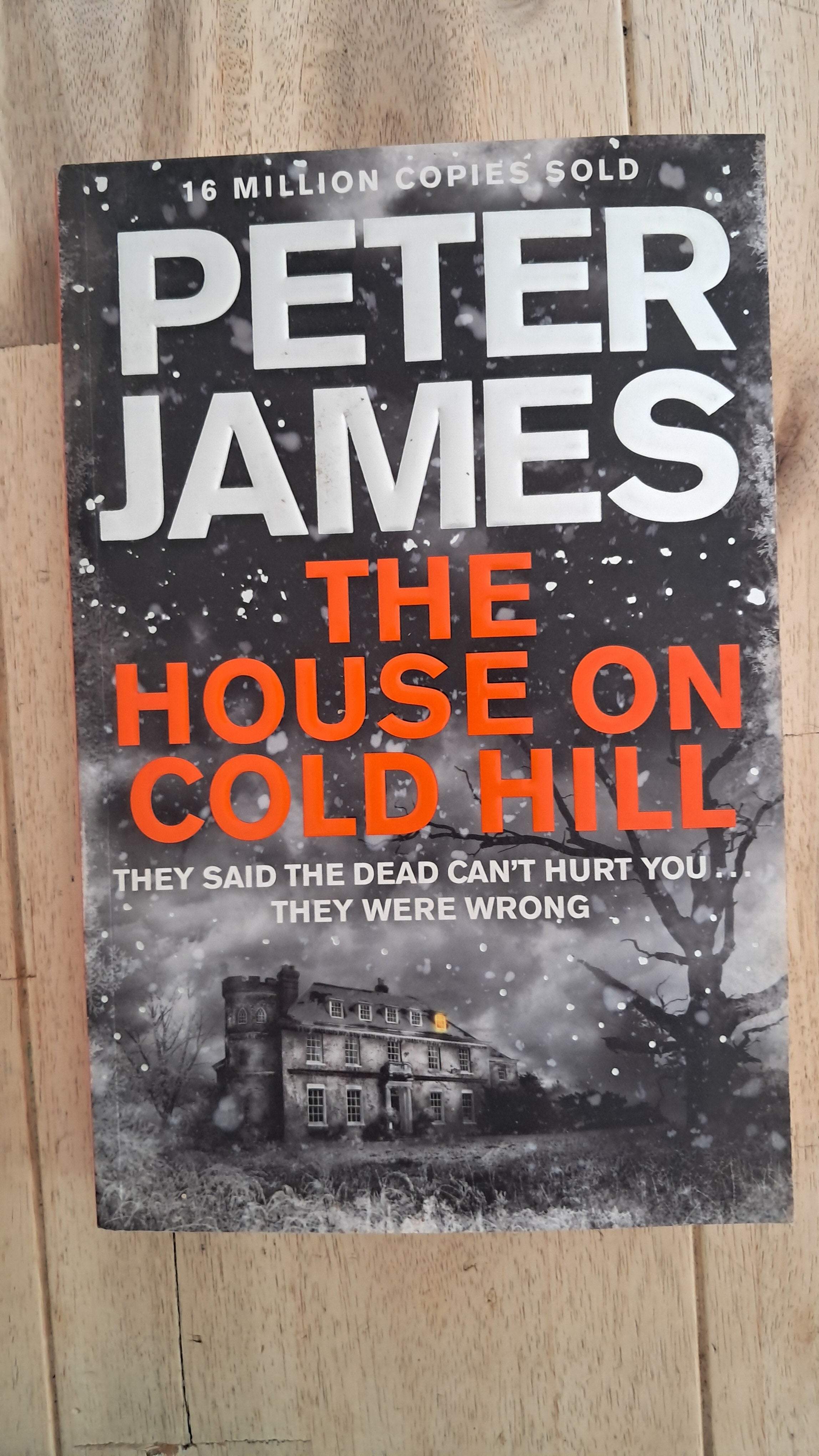 The House on Cold Hill – Peter James