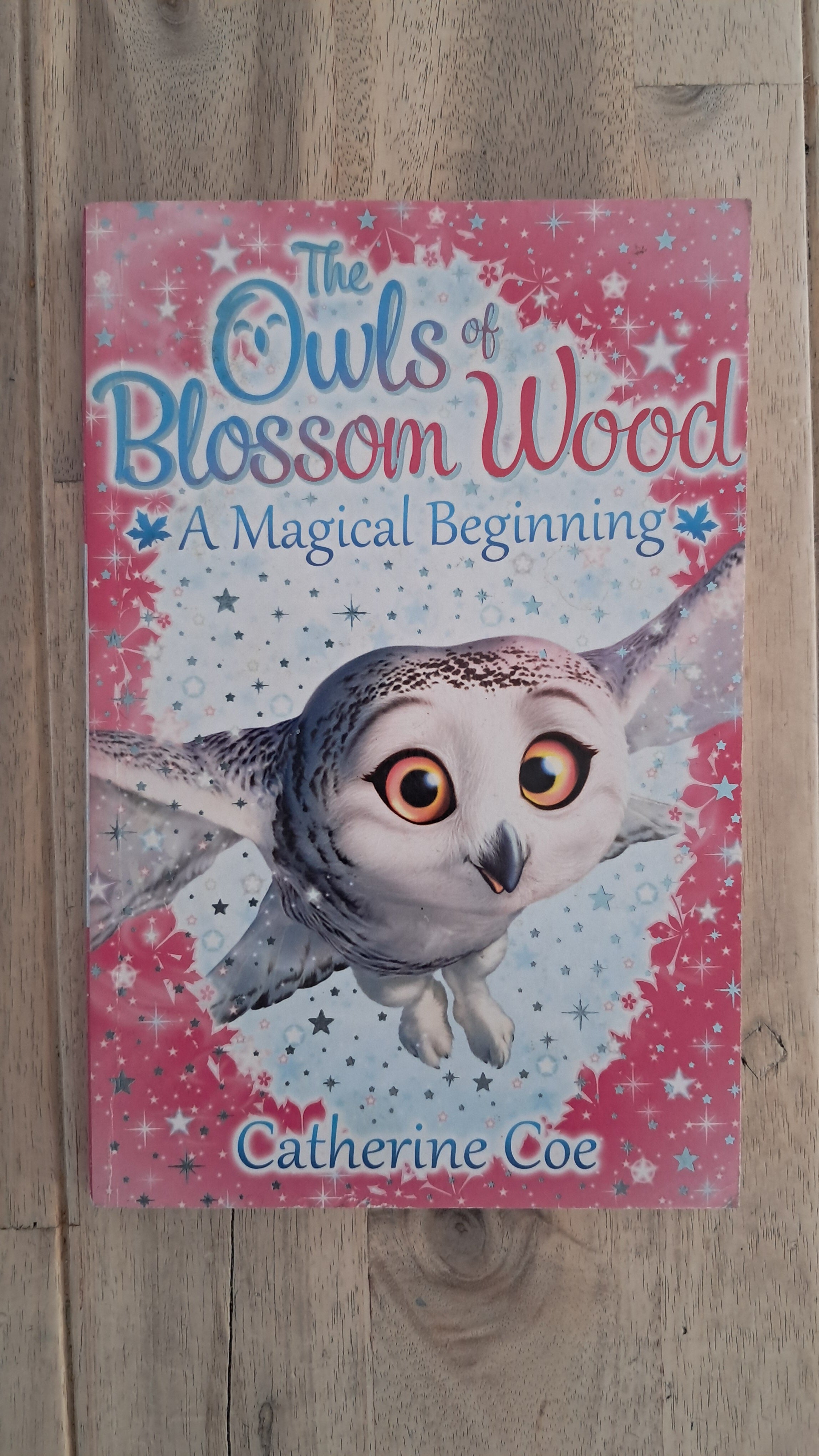 The Owls of Blossom Wood: A Magical Beginning – Catherine Coe
