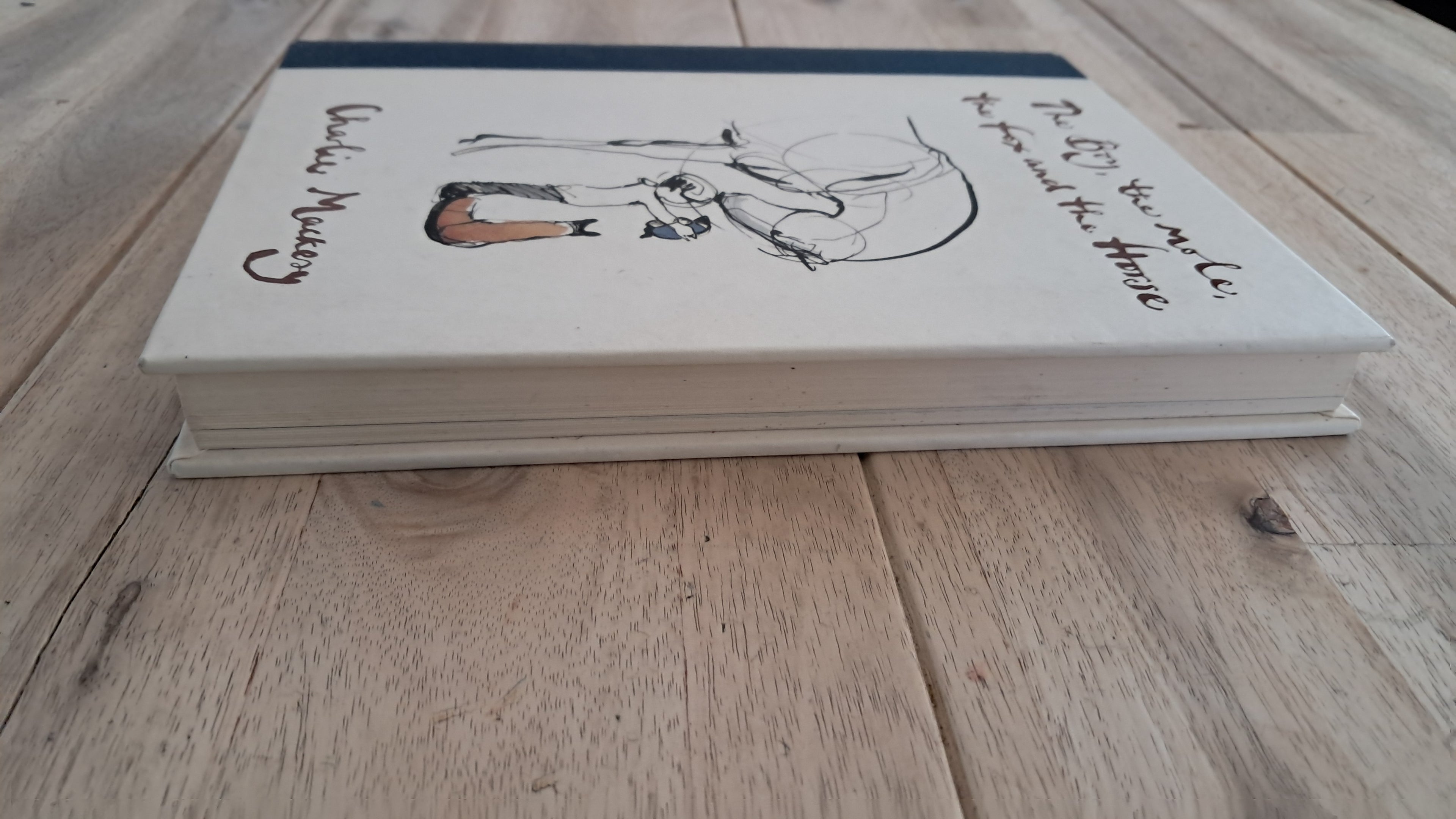 The Boy, the Mole, the Fox and the Horse – Charlie Mackesy