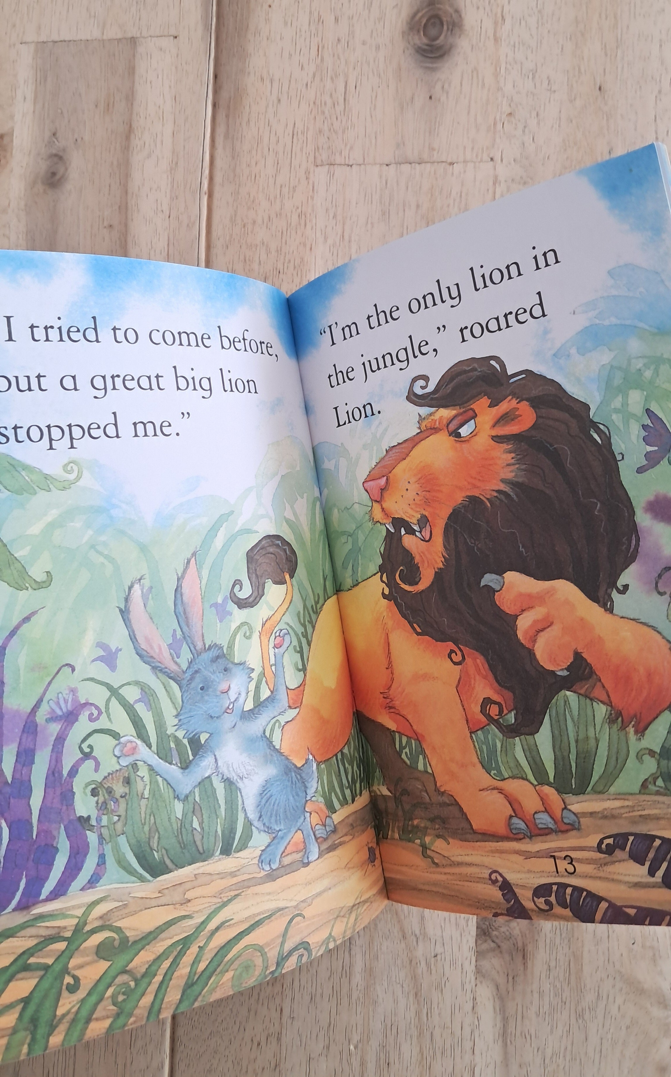 Clever Rabbit and Lion – Mairi Mackinnon
