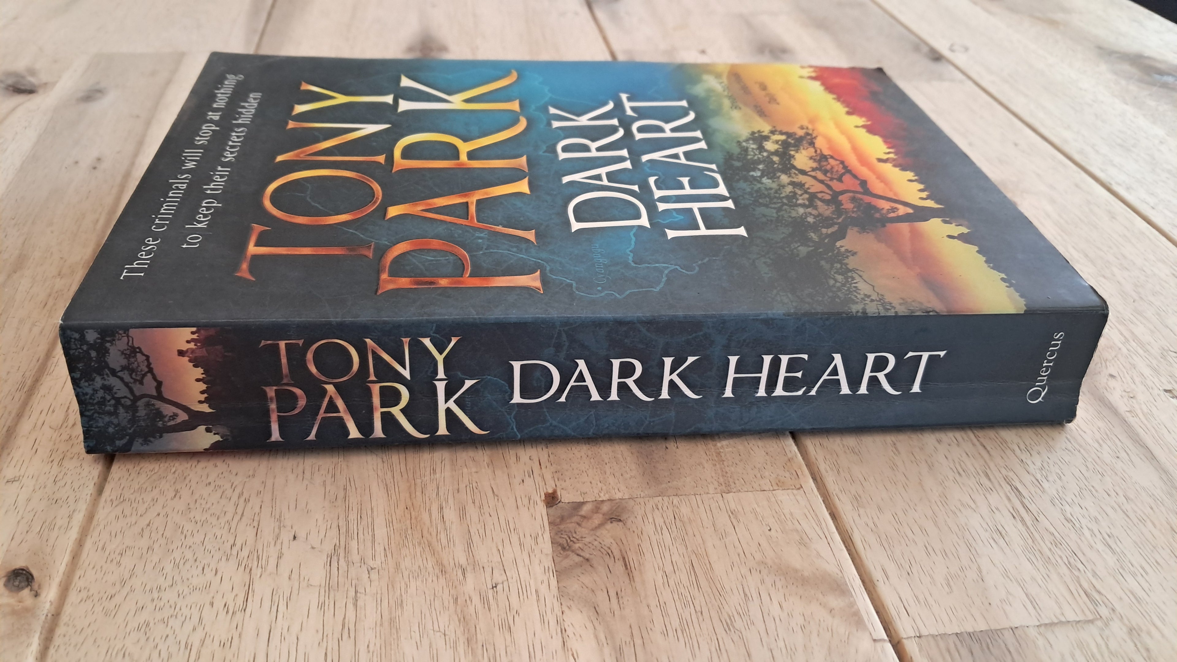 Dark Heart – Tony Park