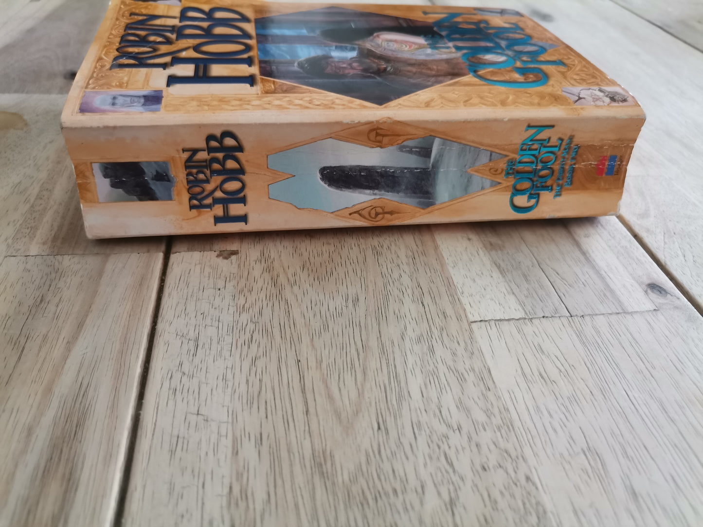The Golden Fool by Robin Hobb