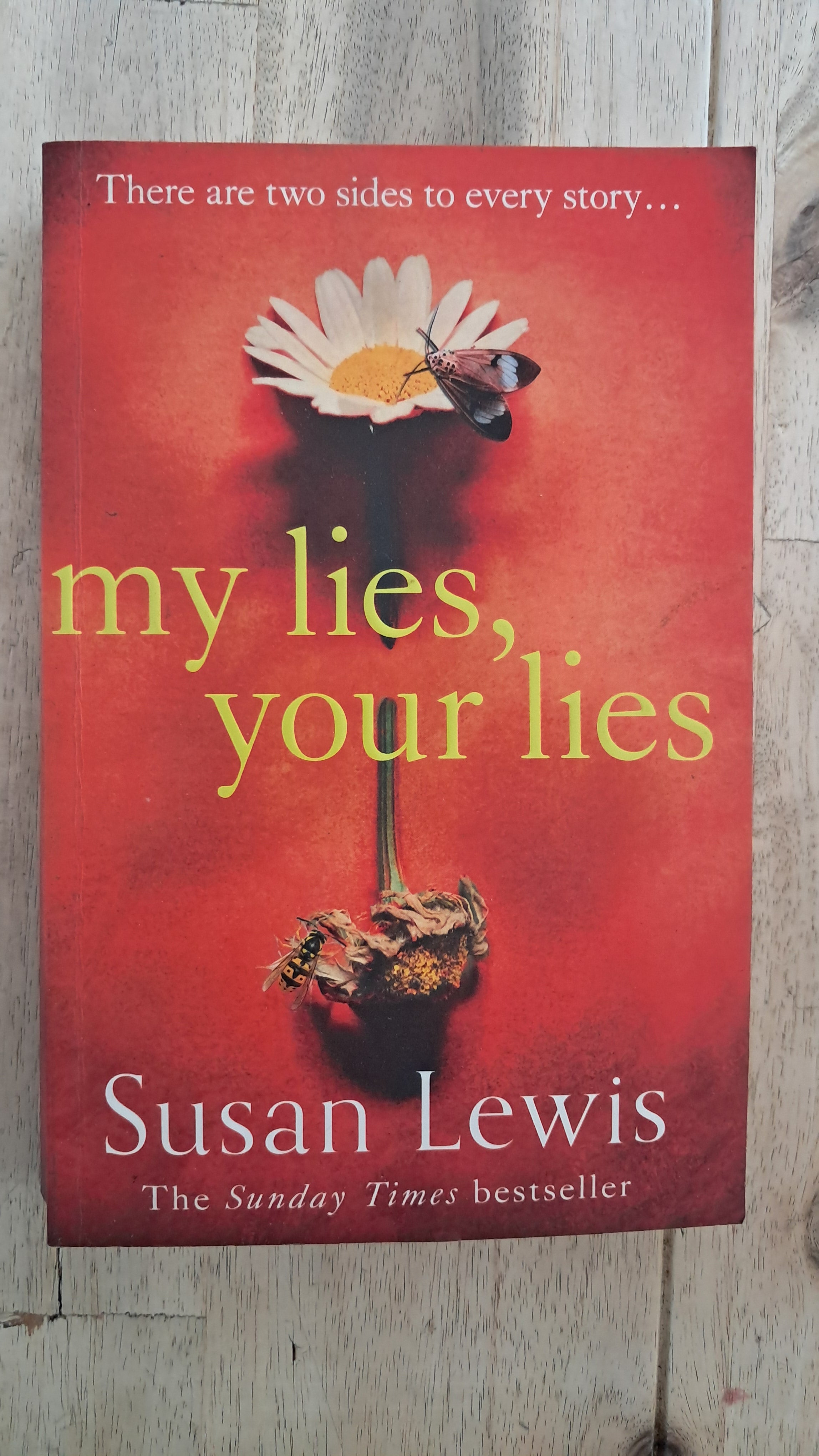 My Lies, Your Lies – Susan Lewis