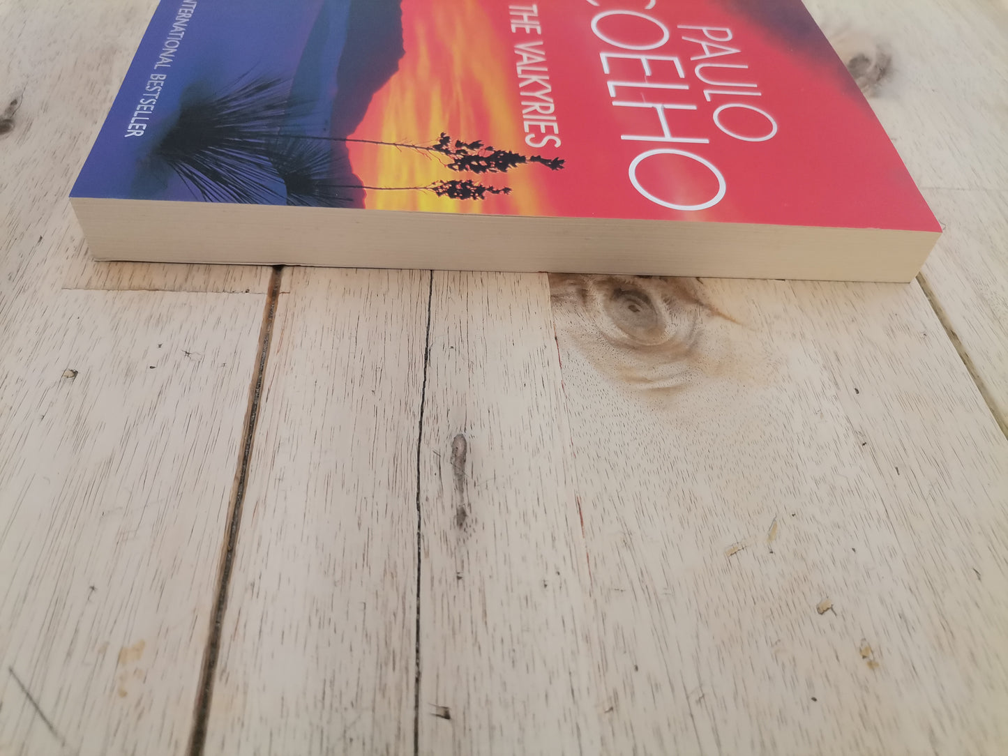 The Valkyries by Paulo Coelho