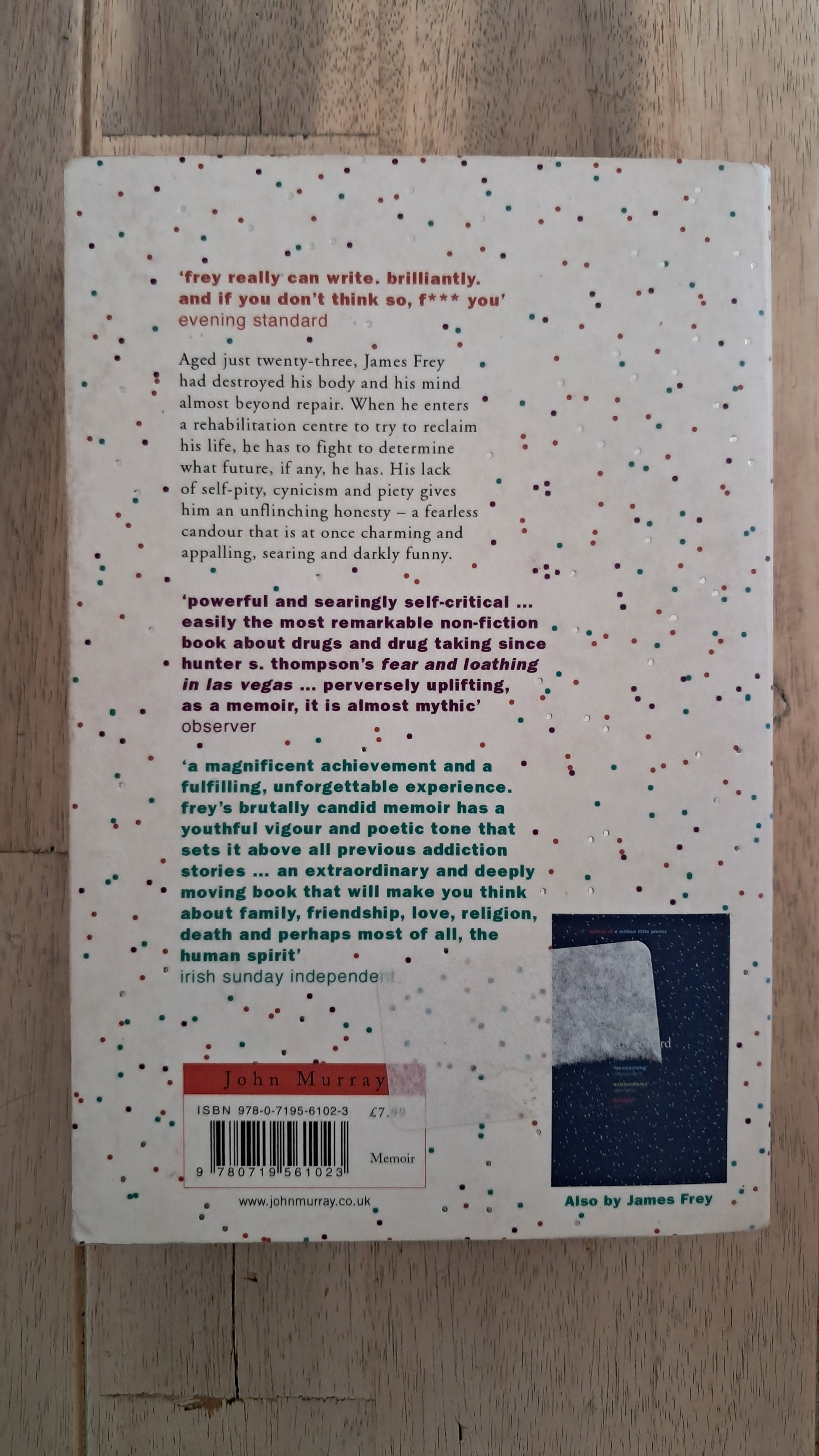 A Million Little Pieces – James Frey