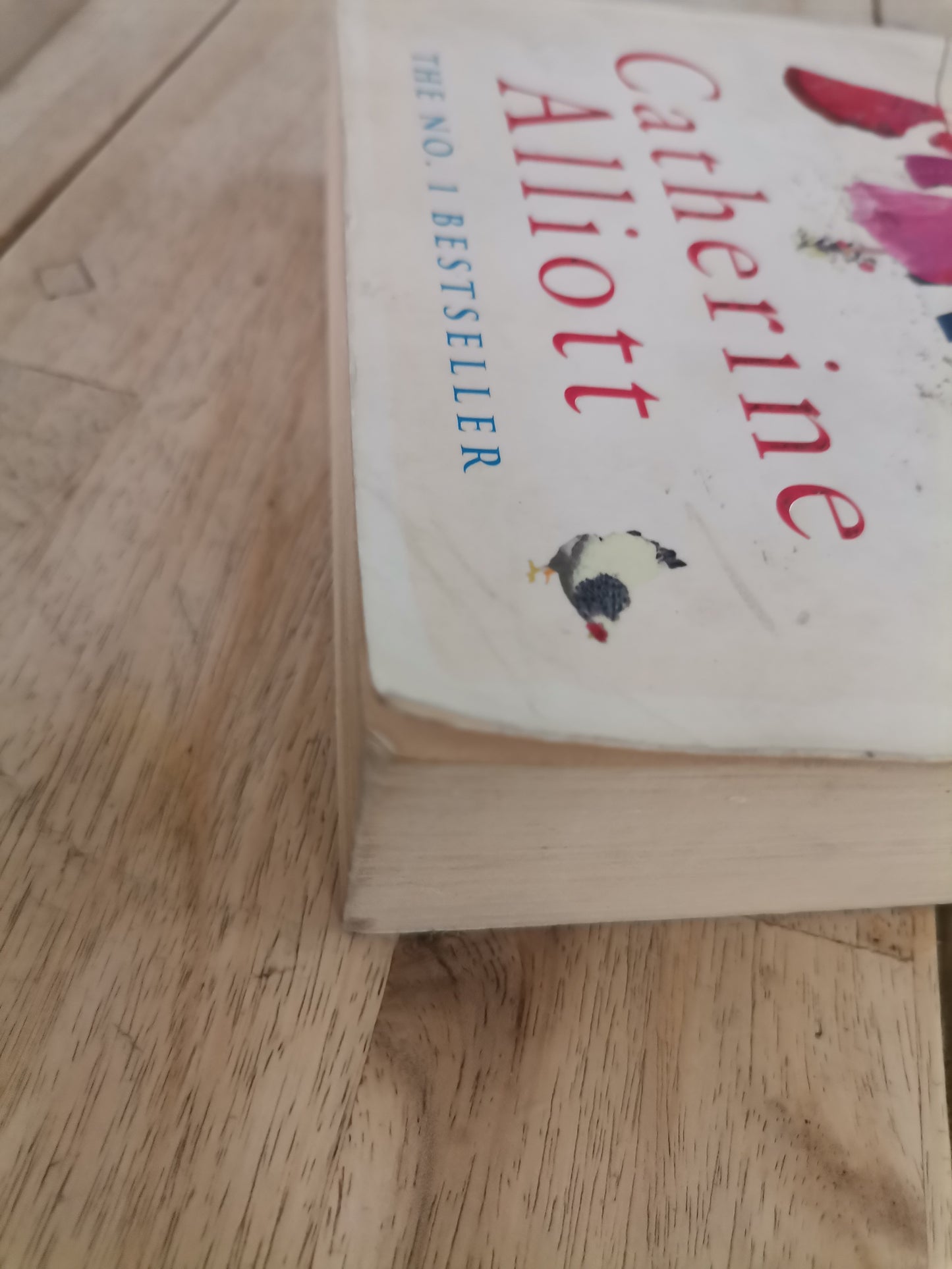My Husband Next Door – Catherine Alliott