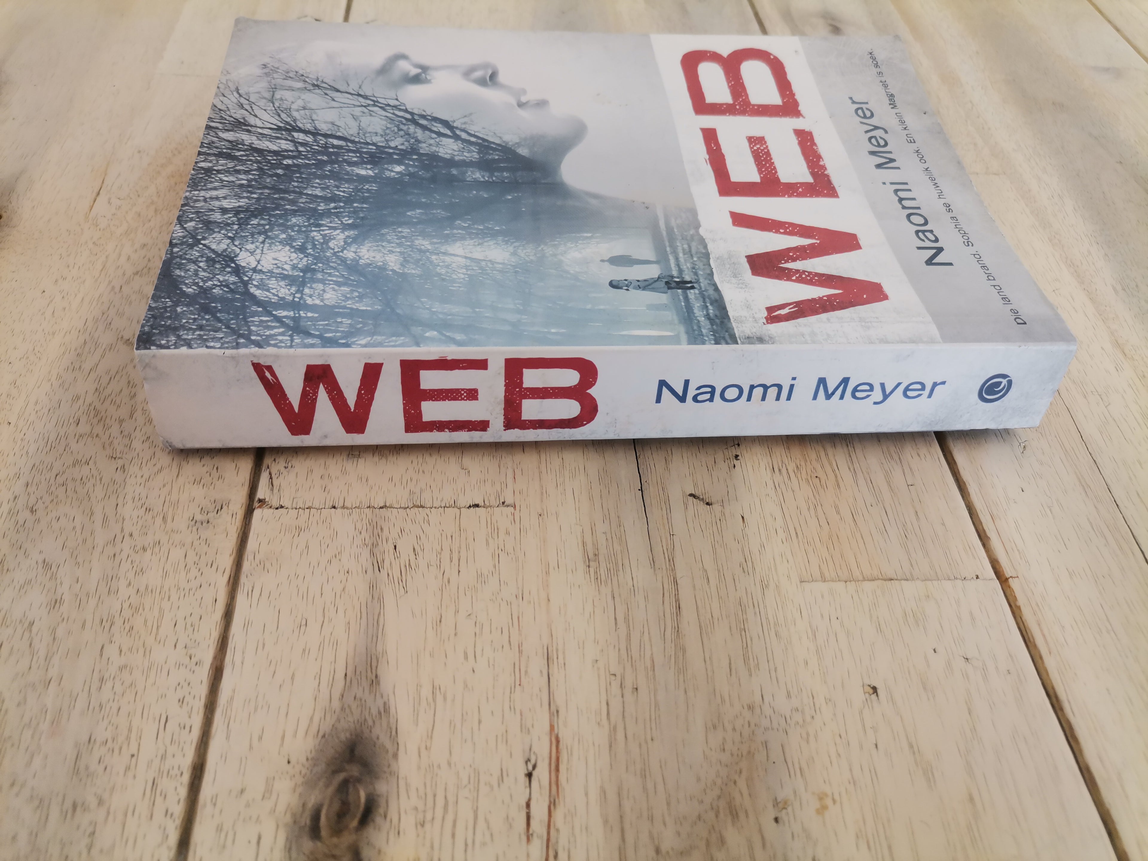 Web by Naomi Meyer