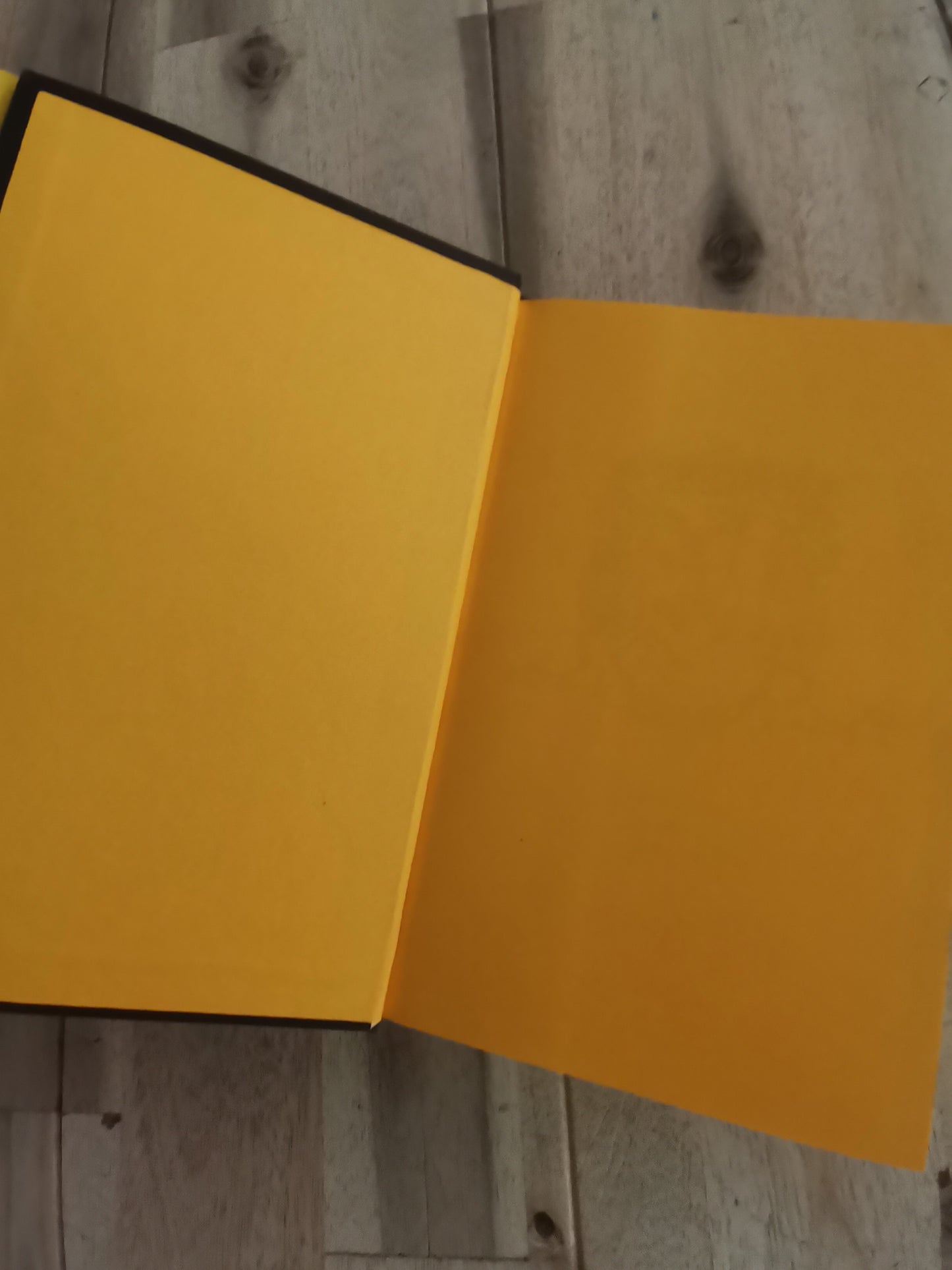 Harry Potter and the Goblet of Fire – Hufflepuff House Edition – J.K. Rowling