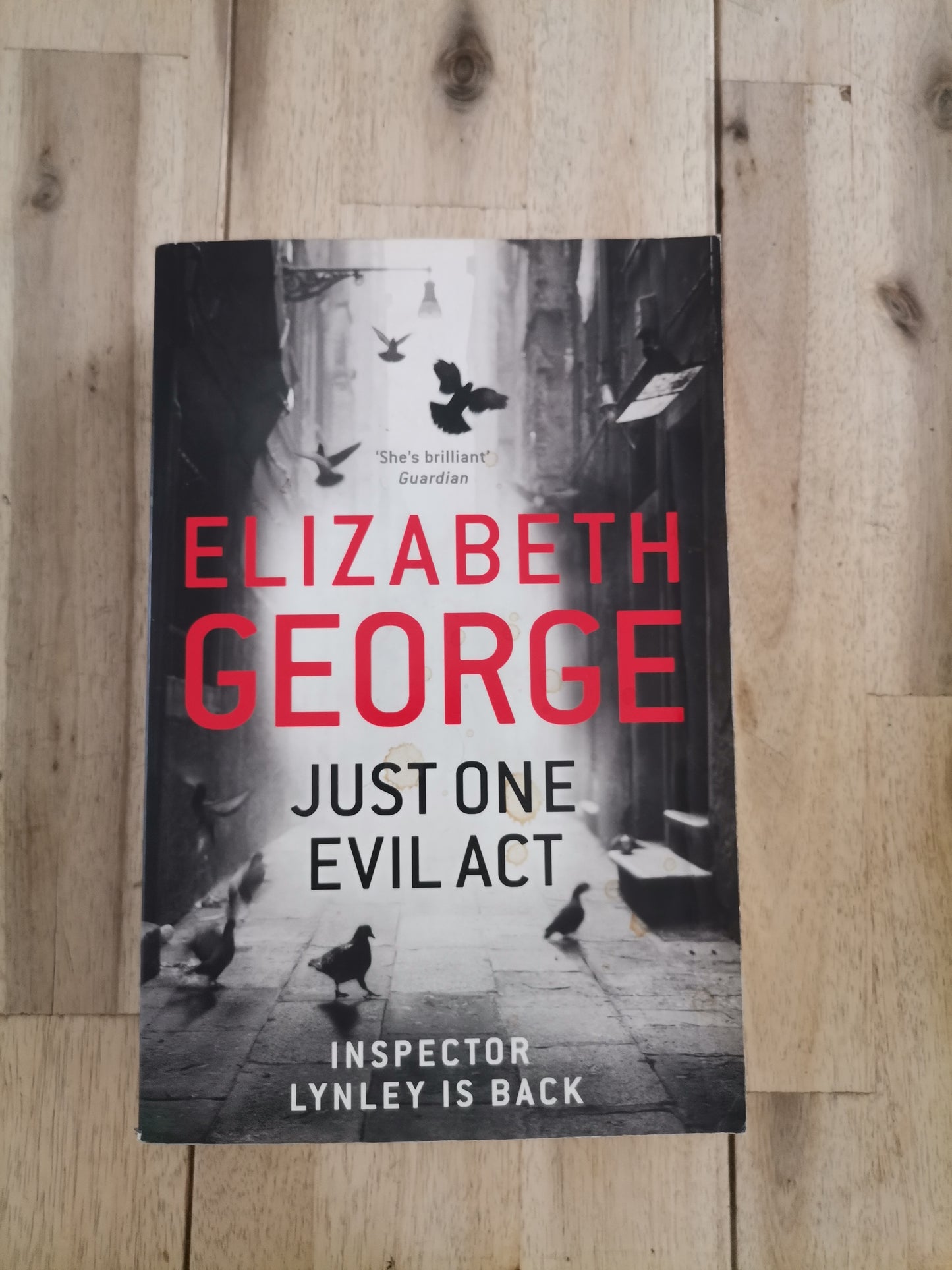Just One Evil Act – Elizabeth George