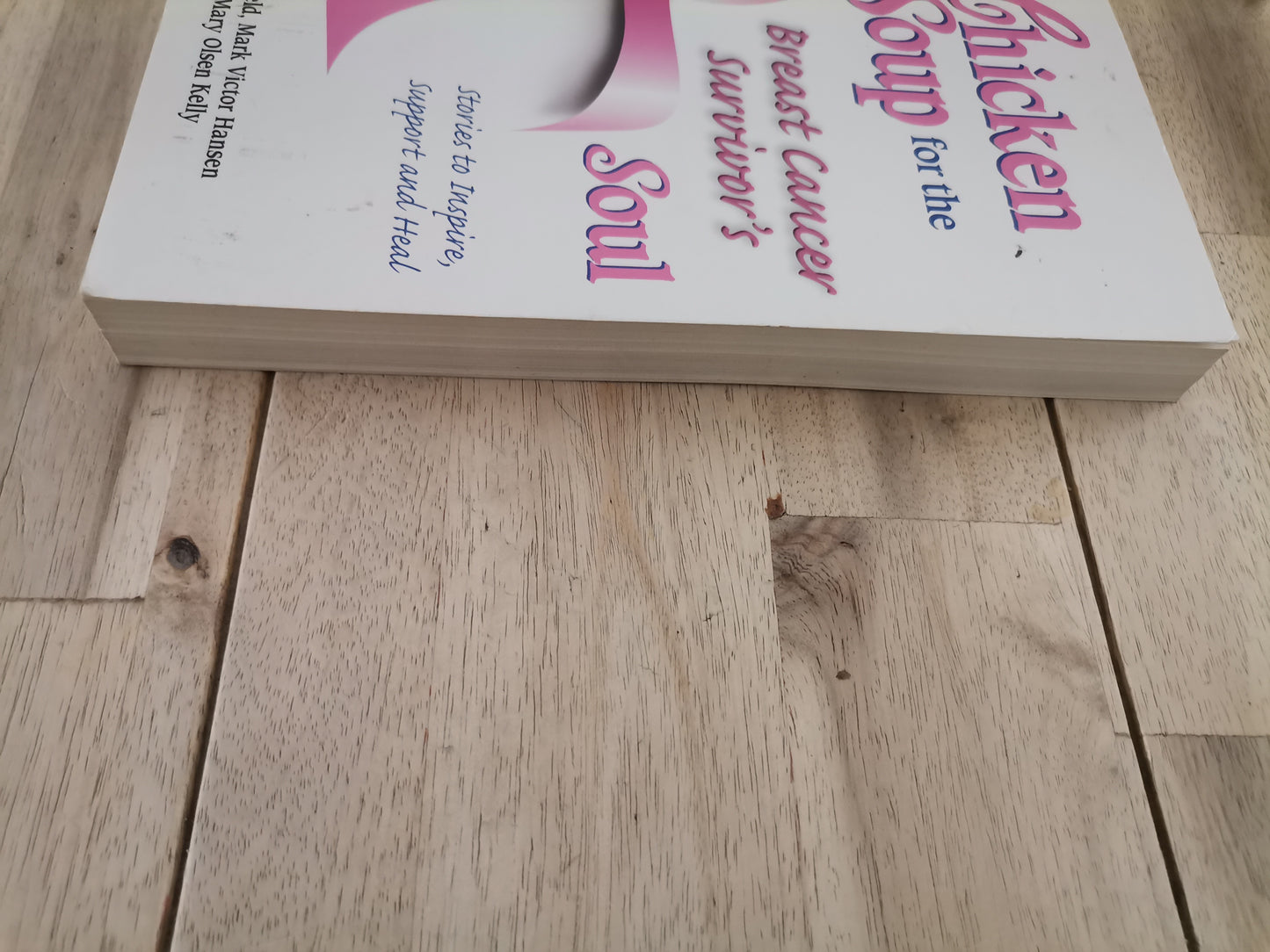 Chicken Soup for the Breast Cancer Survivor's Soul by Jack Canfield, Mark Victor Hansen & Mary Olsen Kelly