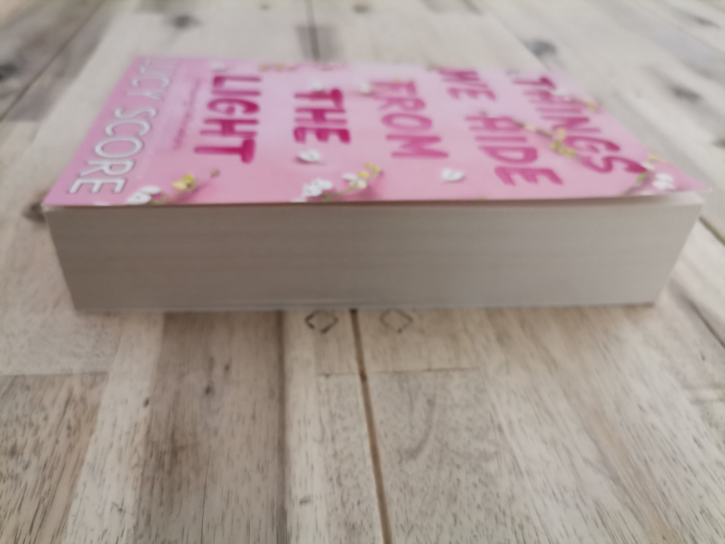 Things We Hide From the Light – Lucy Score