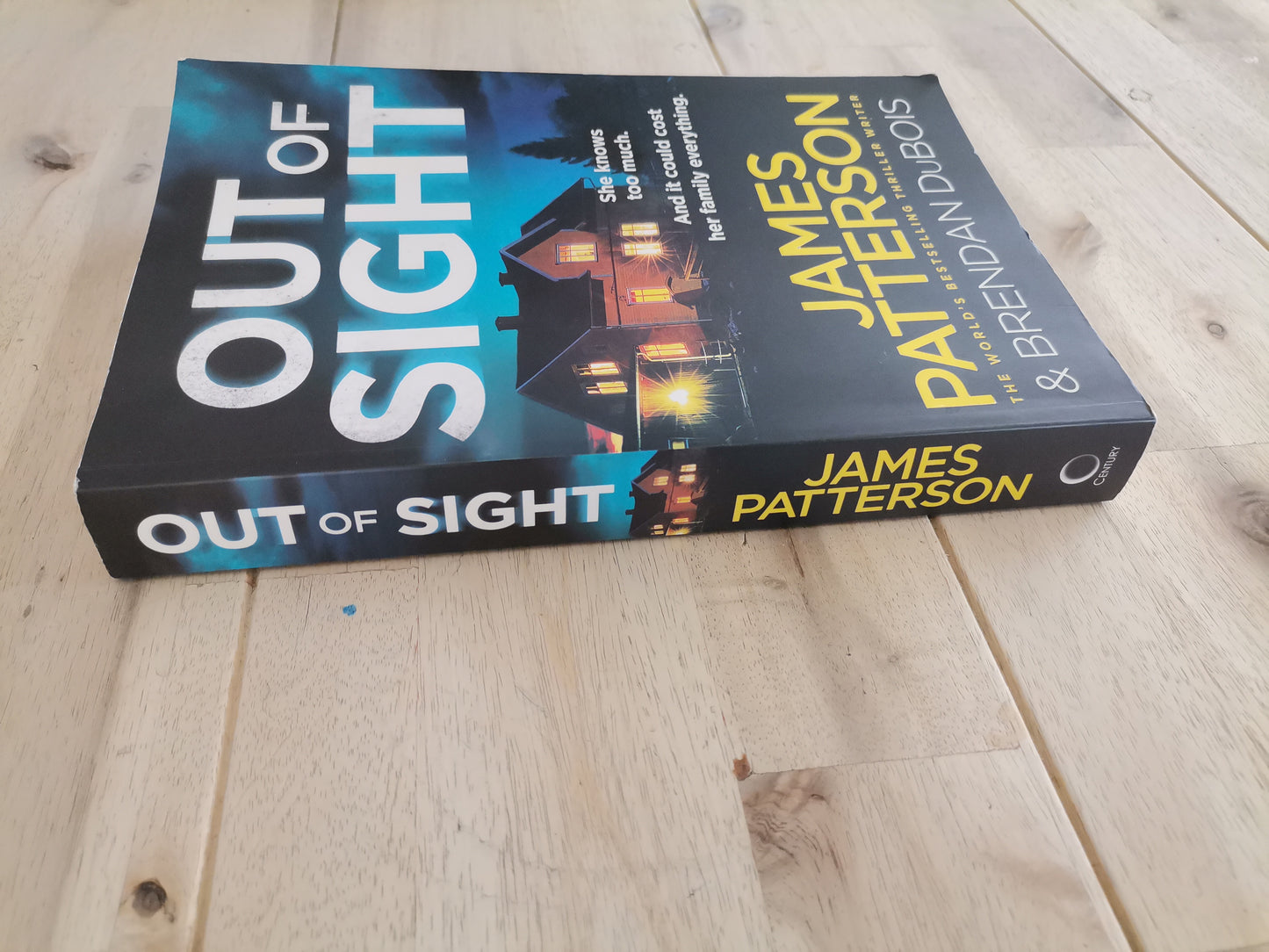 Out of Sight – James Patterson