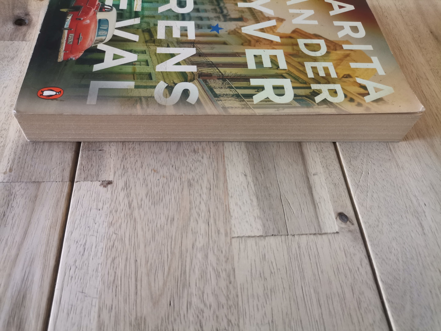 Grensgeval by Marita van der Vyver