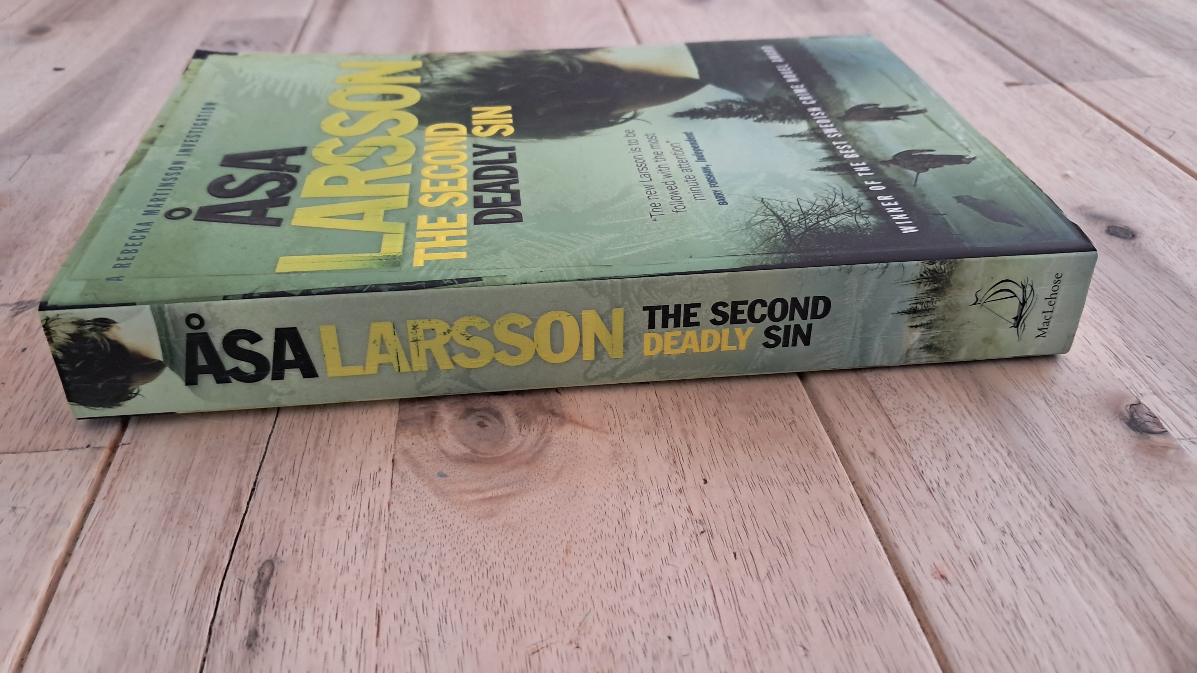 The Second Deadly Sin – Åsa Larsson
