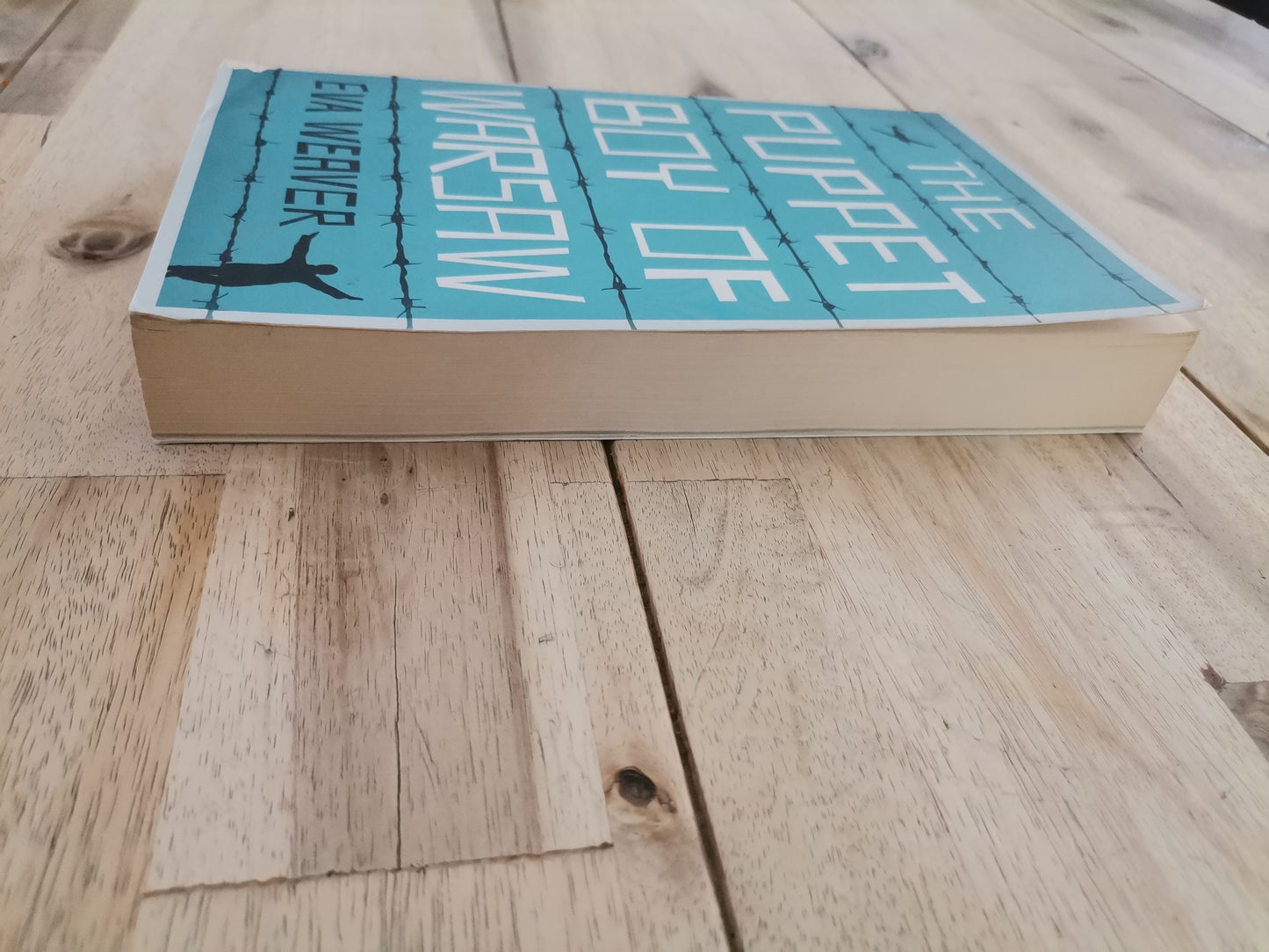 The Puppet Boy of Warsaw – Eva Weaver