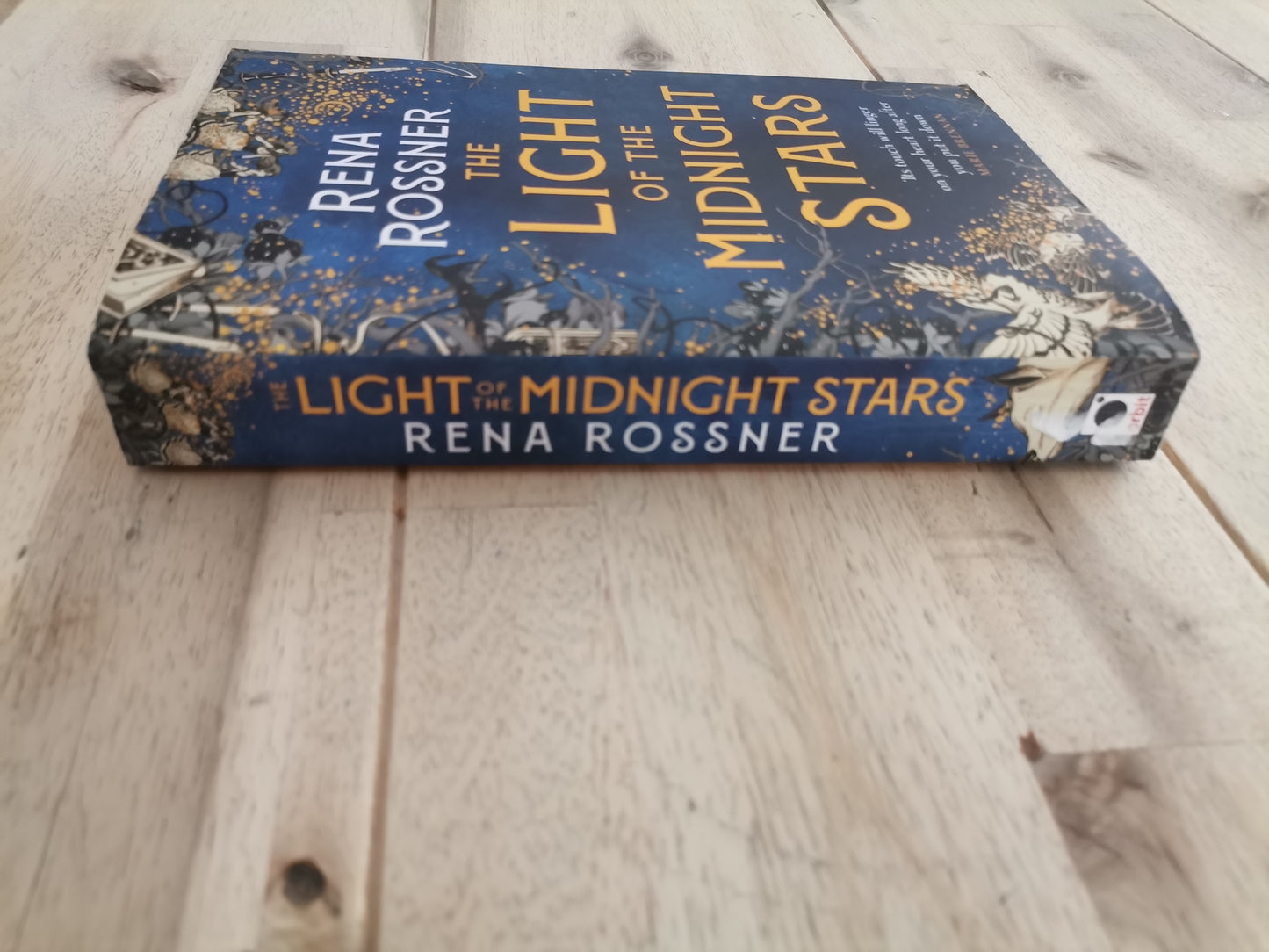 The Light of the Midnight Stars – Rena Rossner