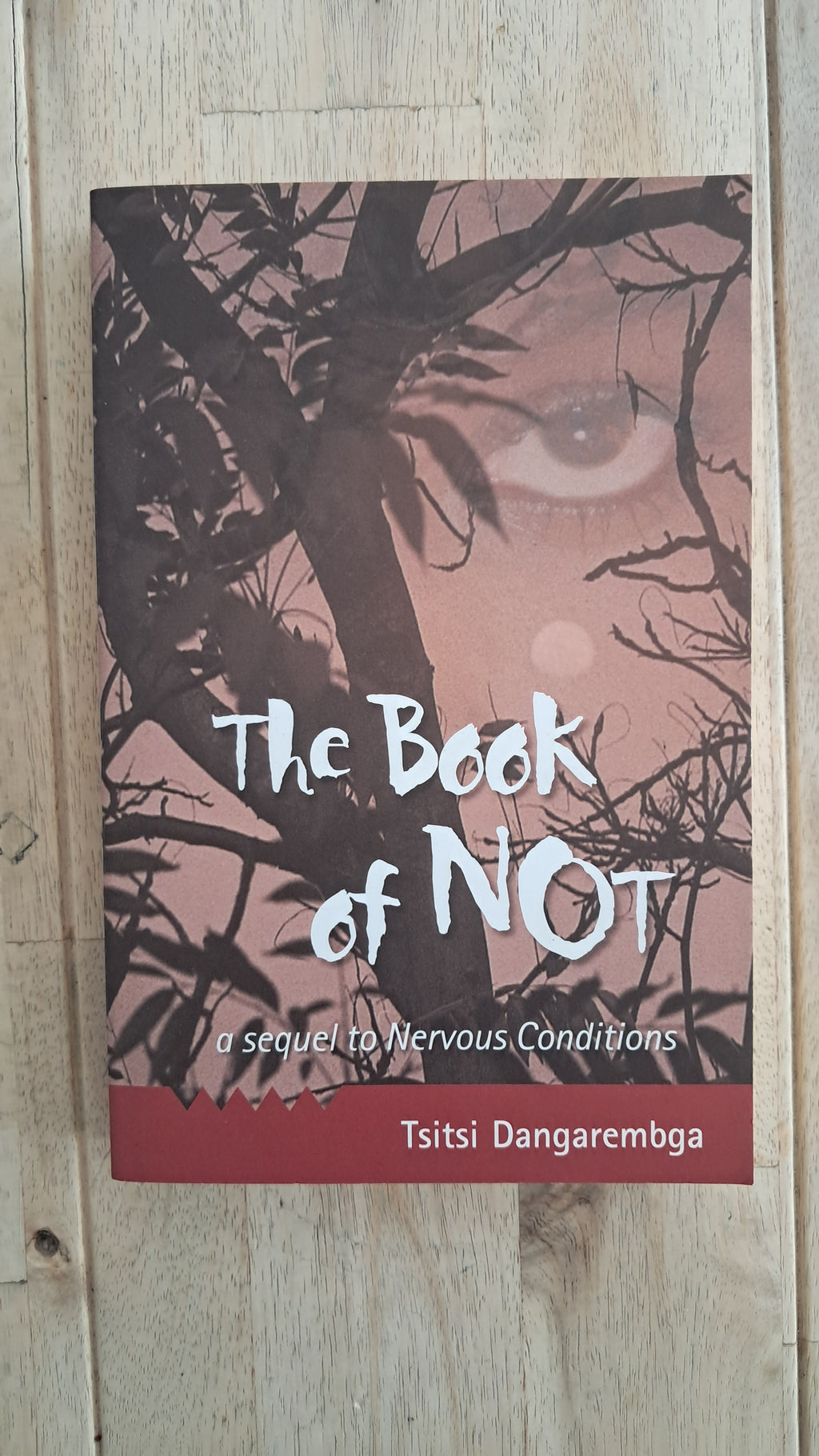 The Book of Not – Tsitsi Dangarembga