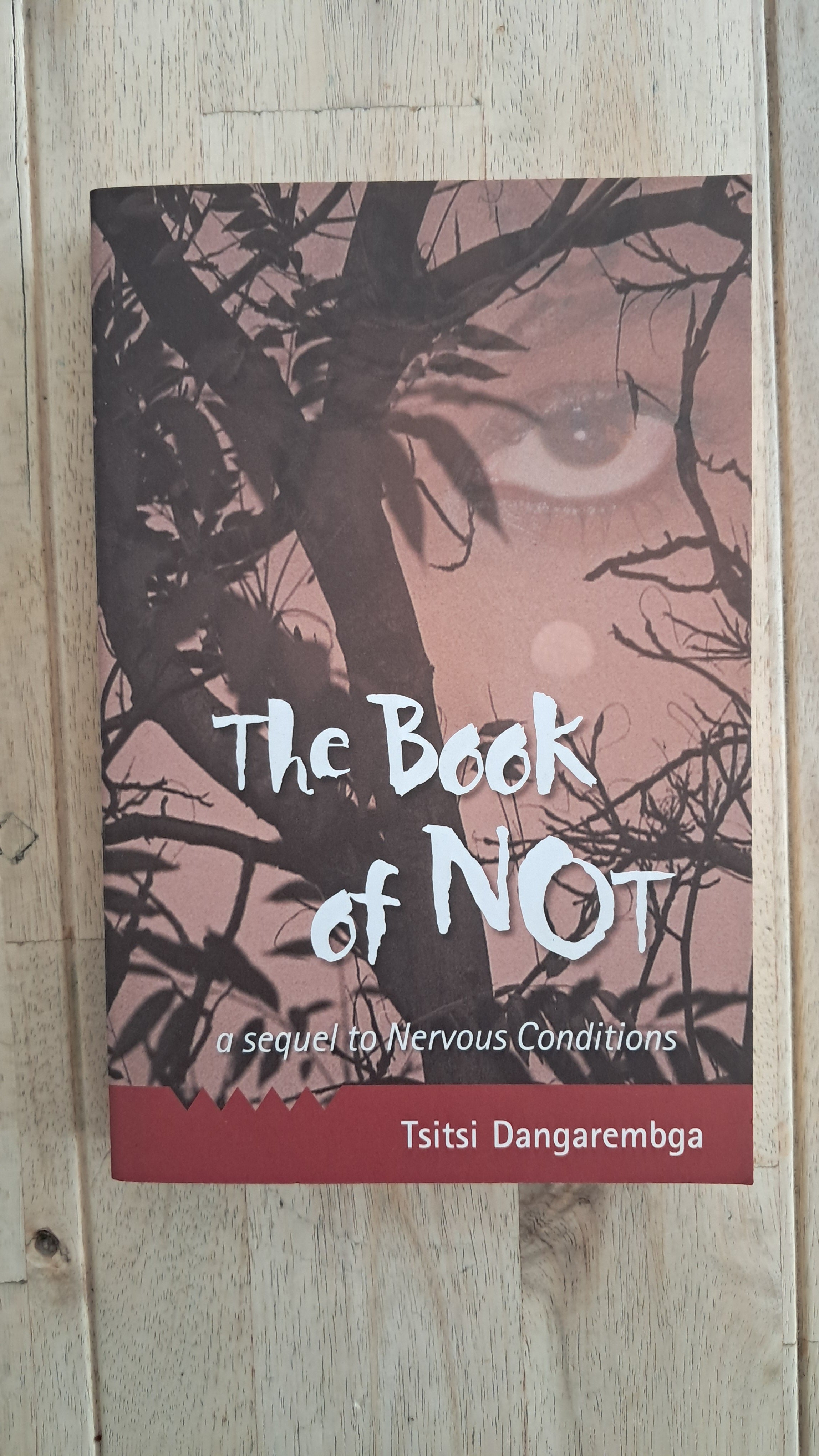The Book of Not – Tsitsi Dangarembga