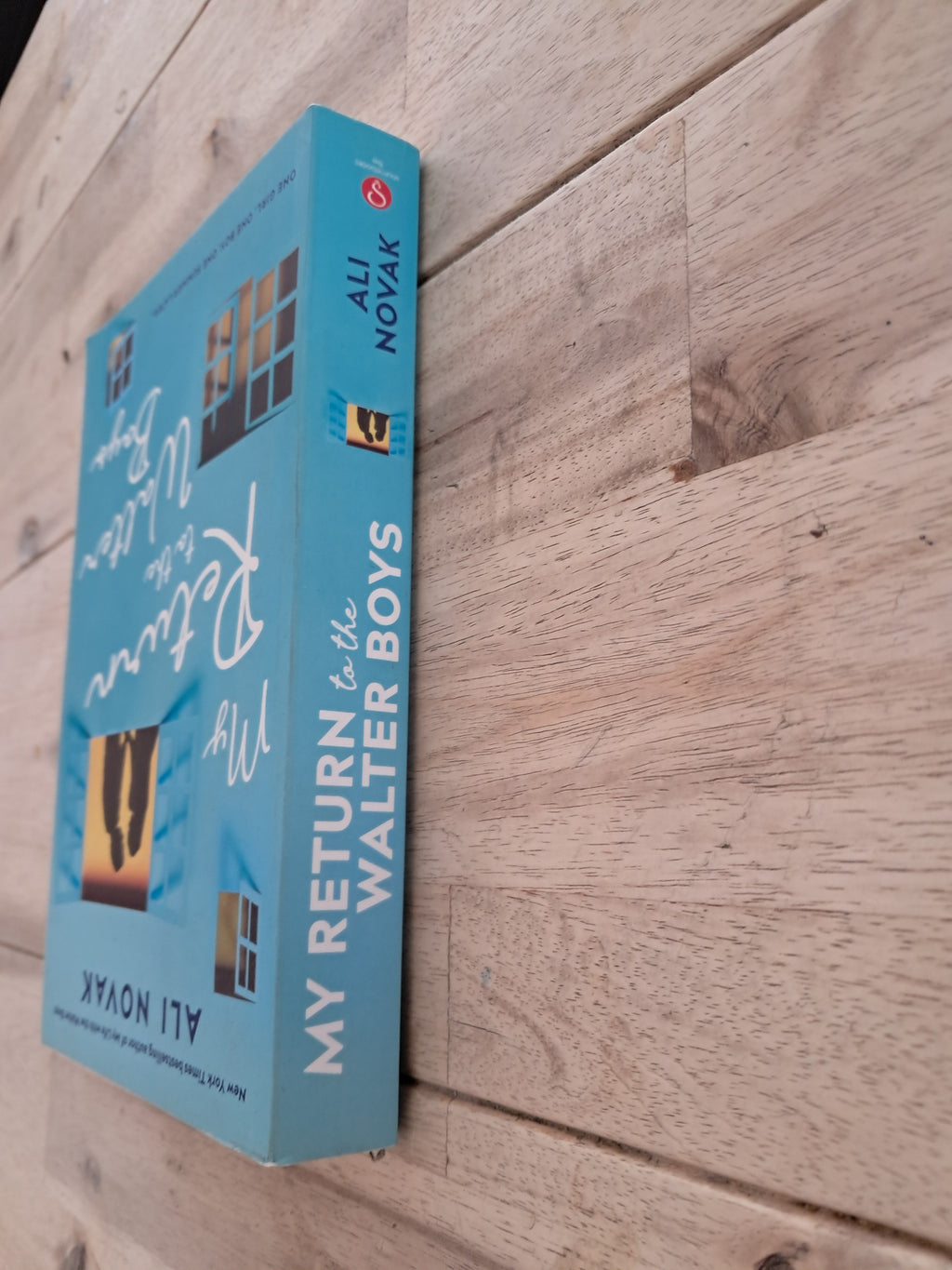 My Return to the Walter Boys (My Life with the Walter Boys #2) – Ali Novak
