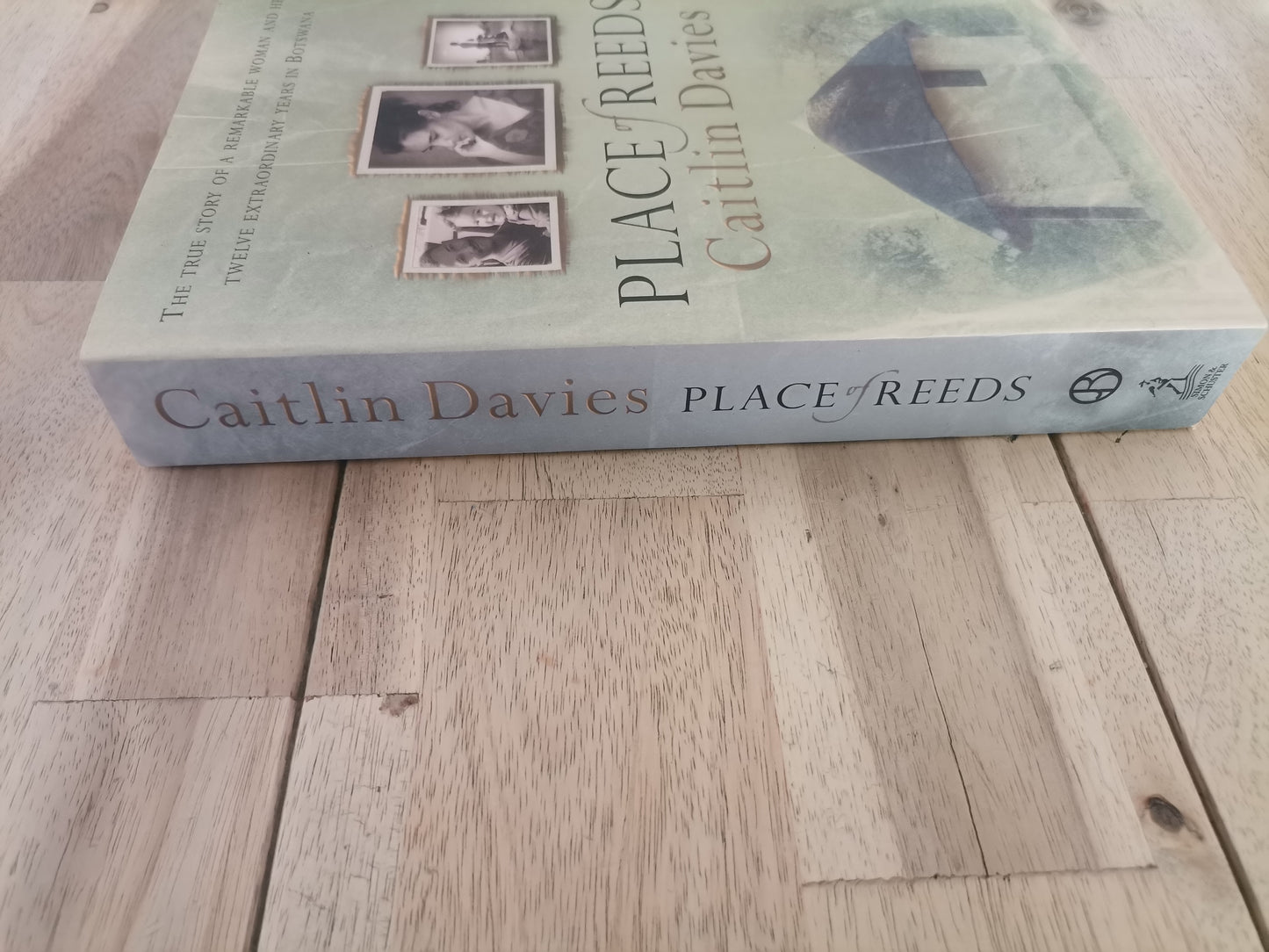Place of Reeds - Caitlin Davies (Trade Paperback)