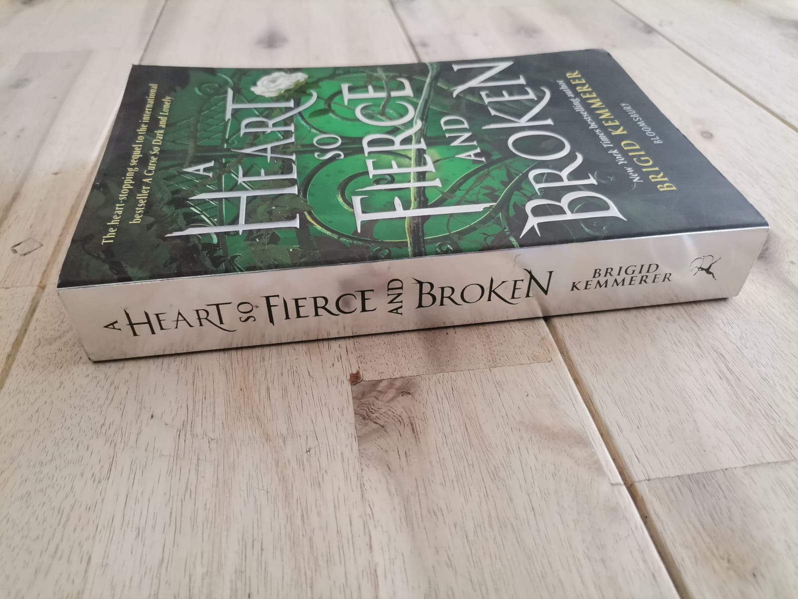 A Heart So Fierce and Broken – Brigid Kemmerer