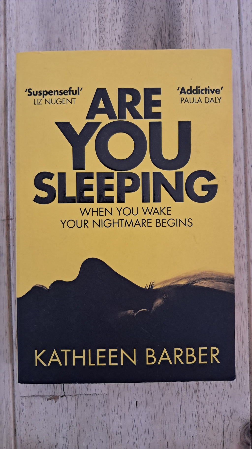 Are You Sleeping – Kathleen Barber