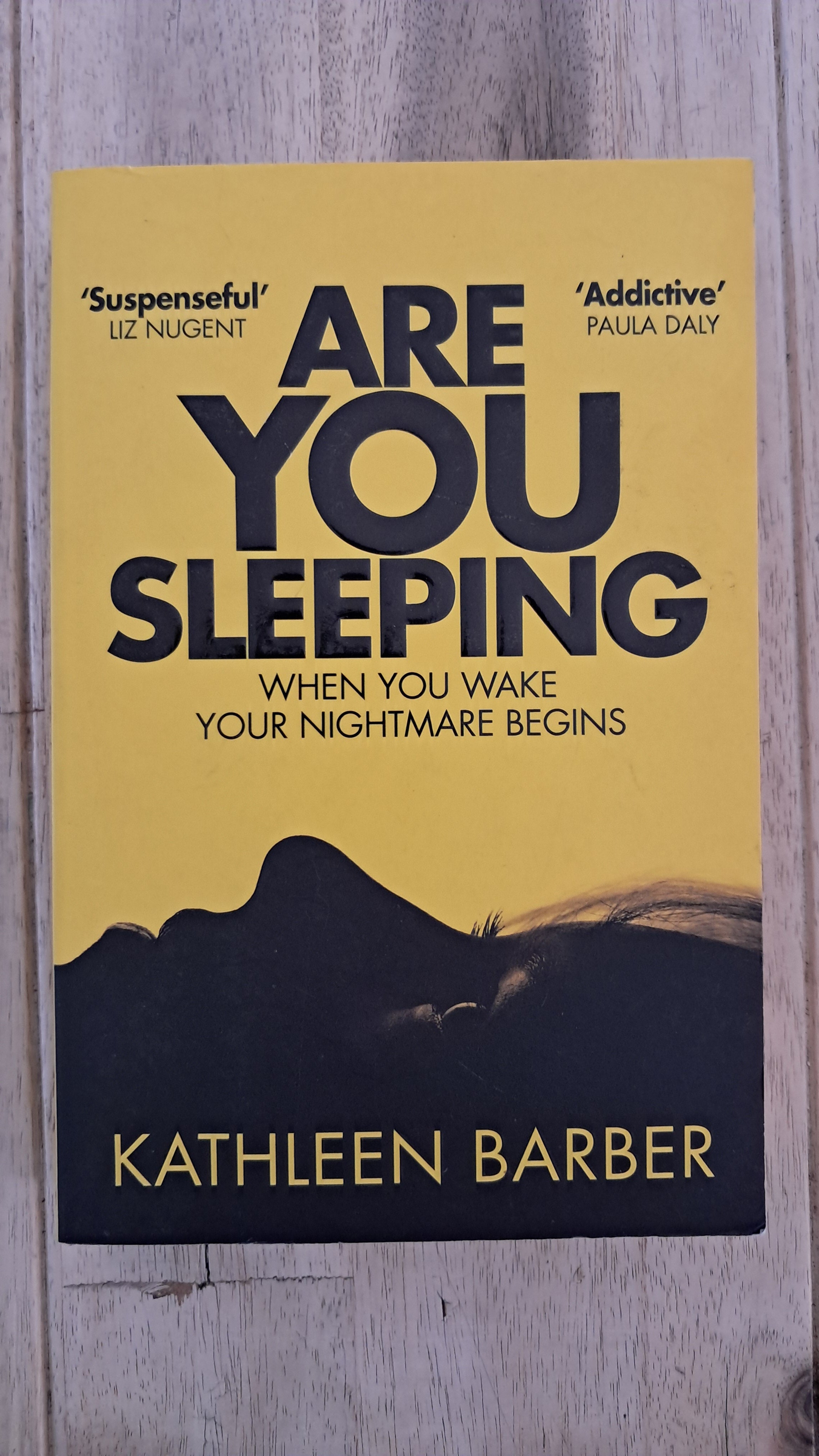 Are You Sleeping – Kathleen Barber