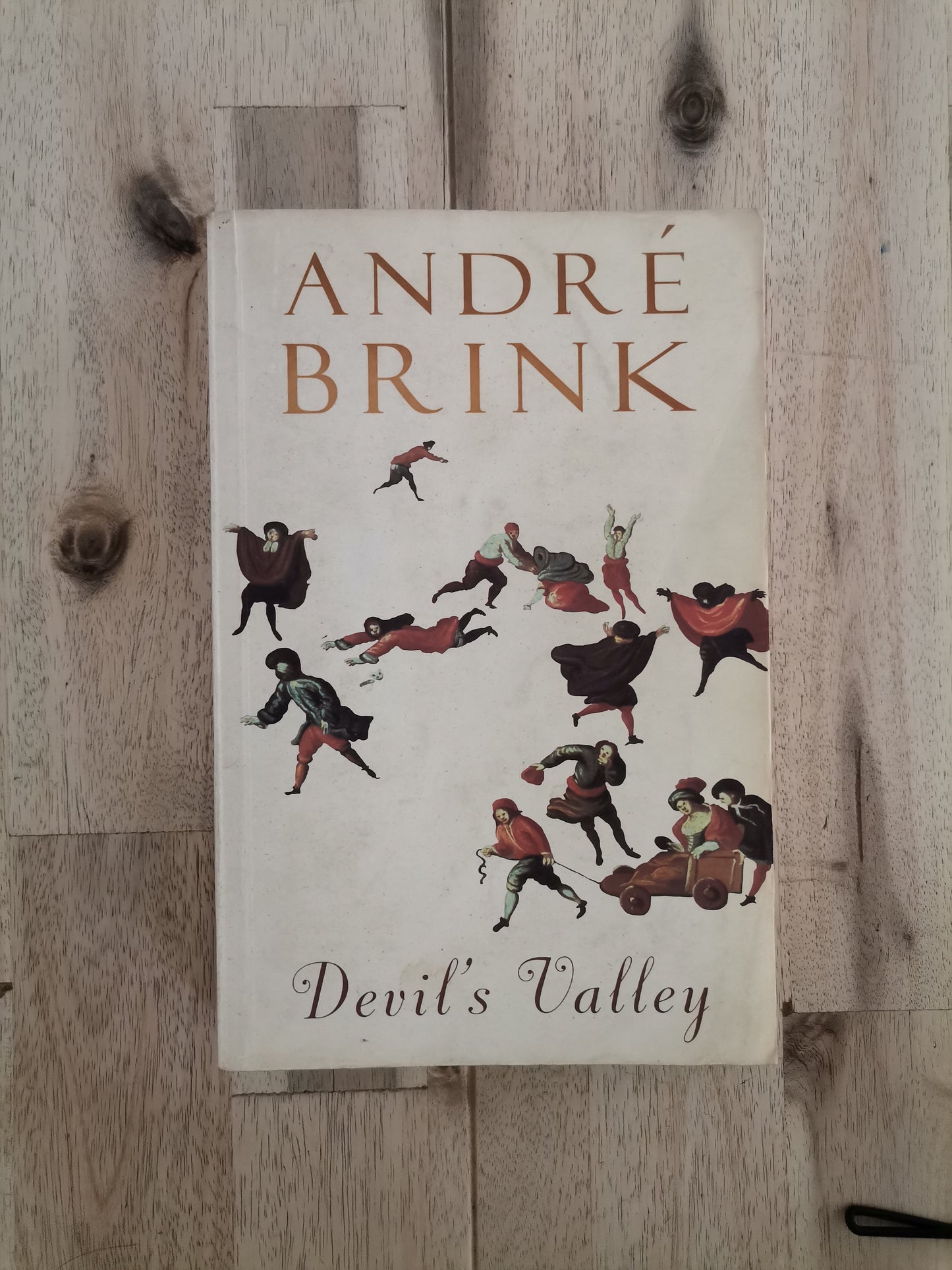 Devil's Valley – André Brink